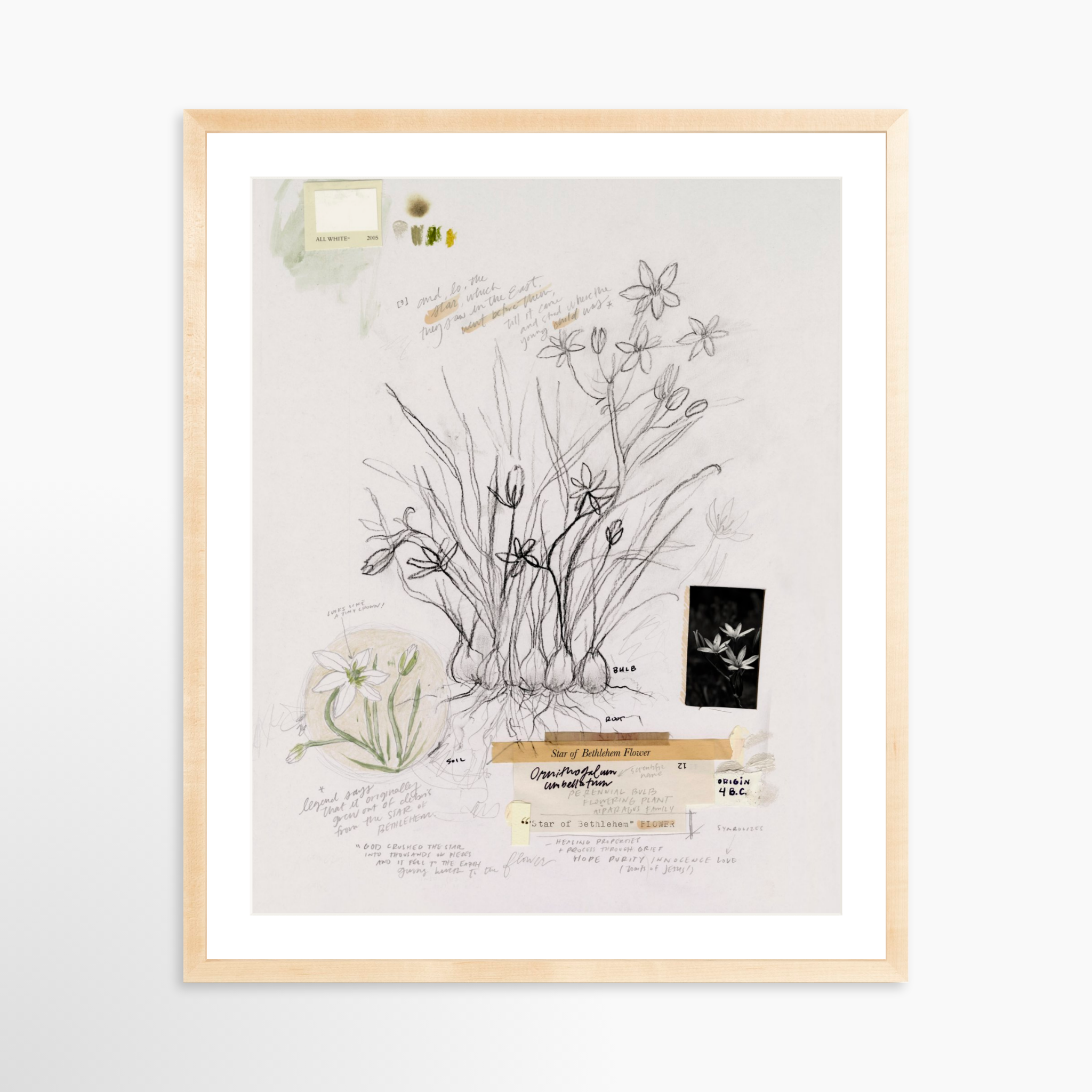 24x30 / Natural Frame + White Mat