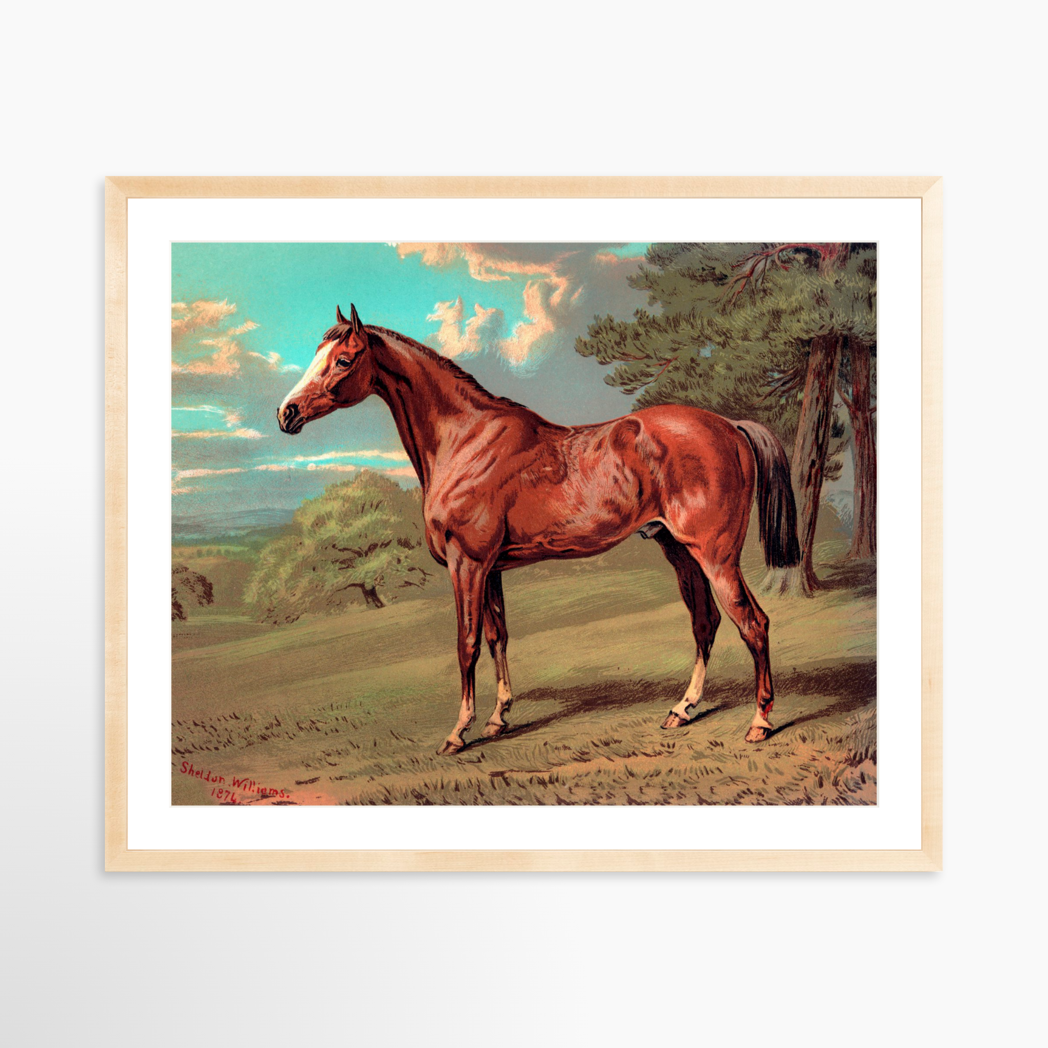 30x24 / Natural Frame + White Mat