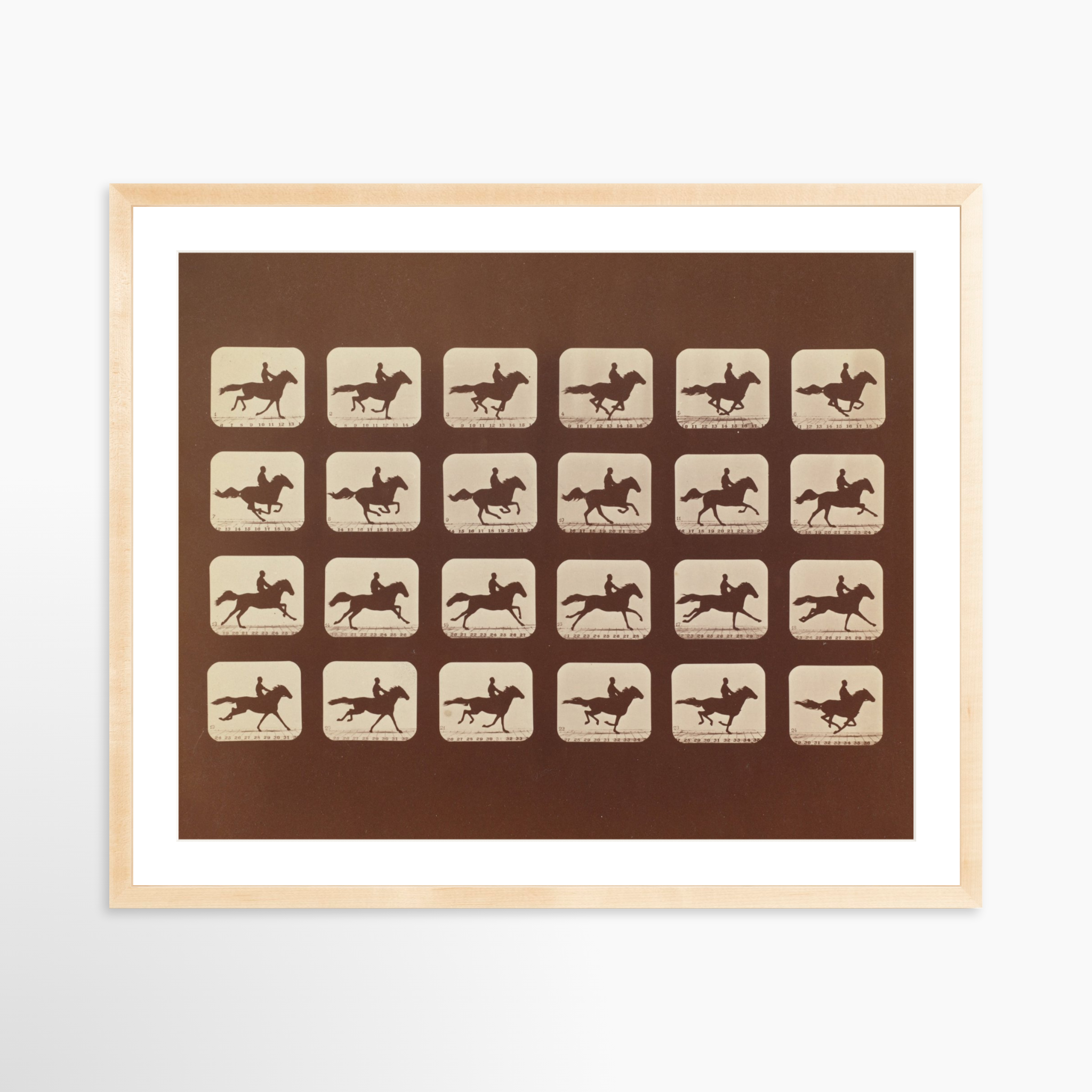 30x24 / Natural Frame + White Mat