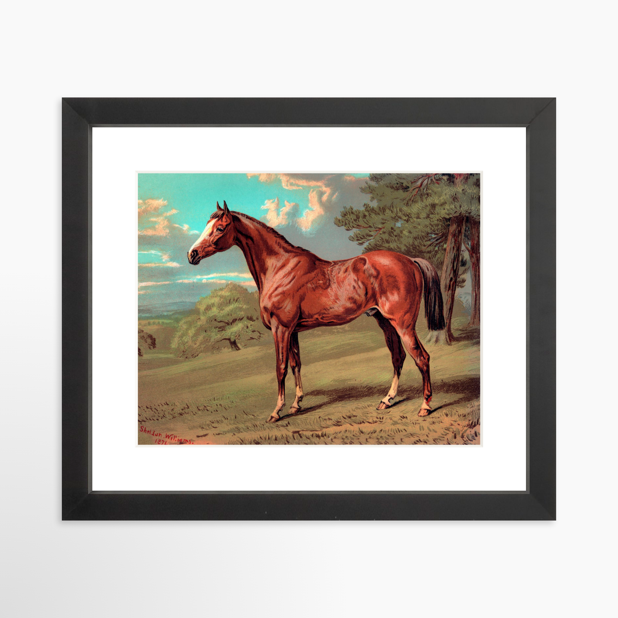 10x8 / Black Frame + White Mat