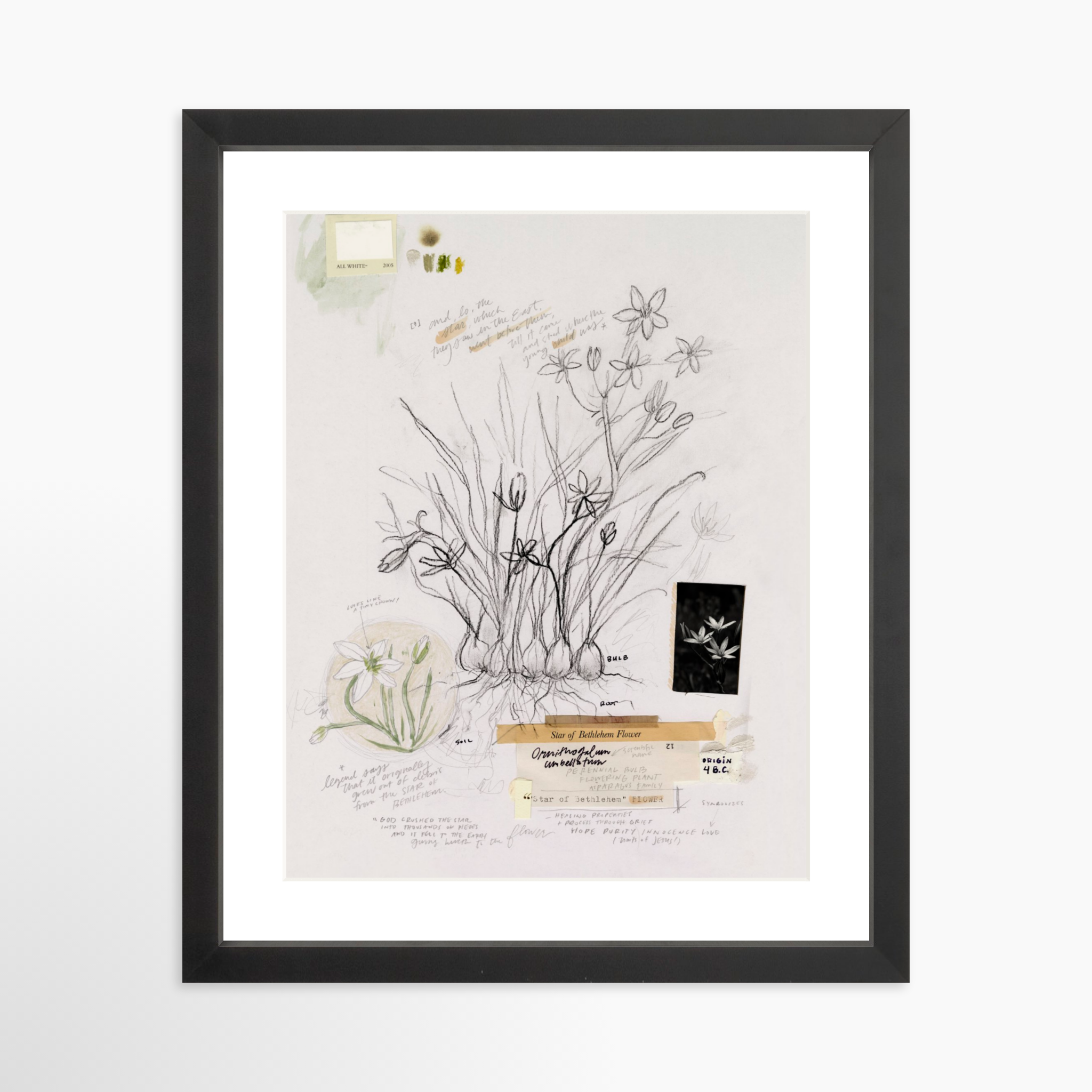 11x14 / Black Frame + White Mat