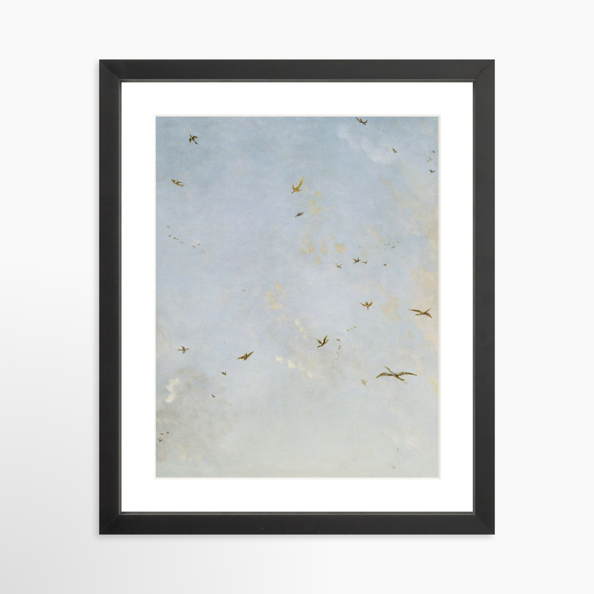 11x14 / Black Frame + White Mat