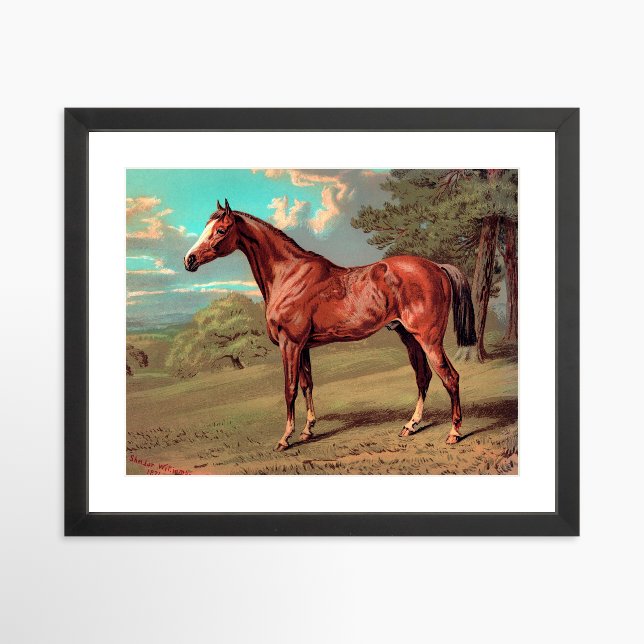 14x11 / Black Frame + White Mat