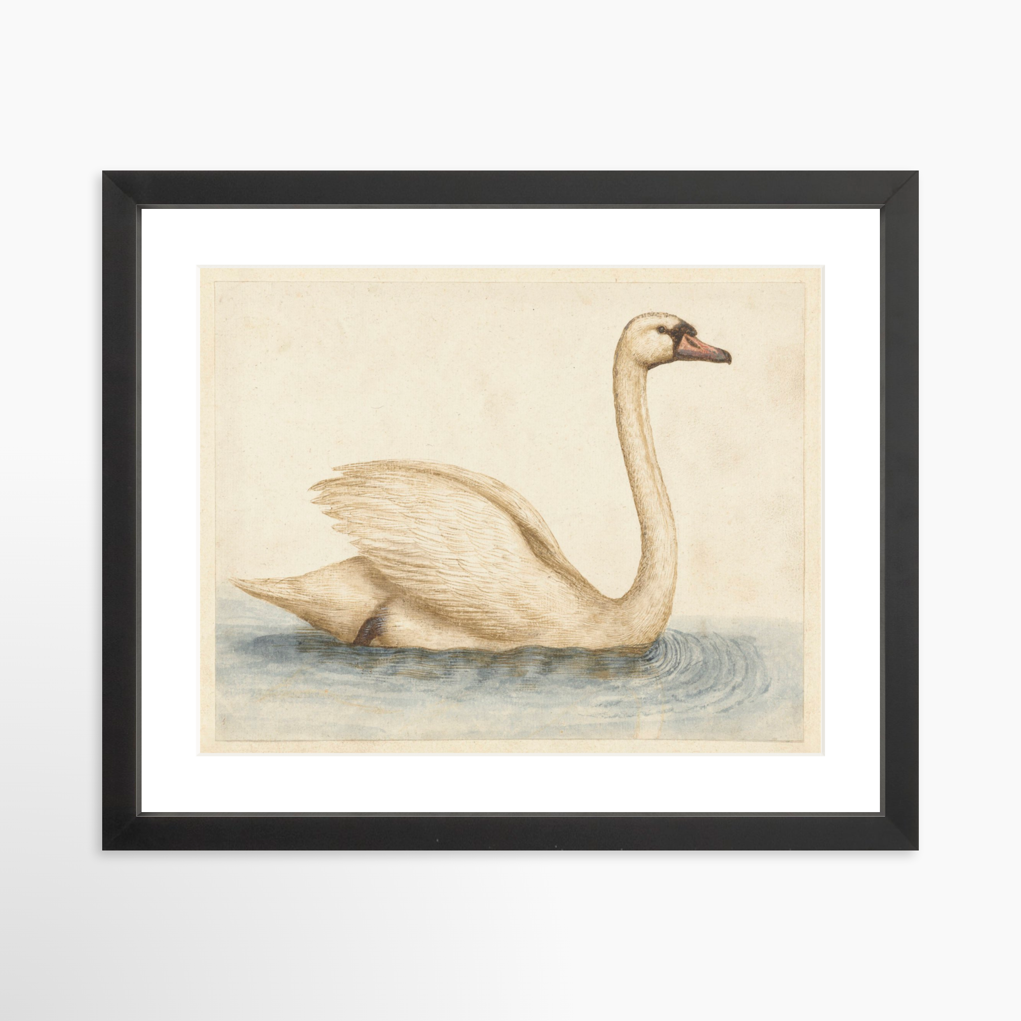 14x11 / Black Frame + White Mat