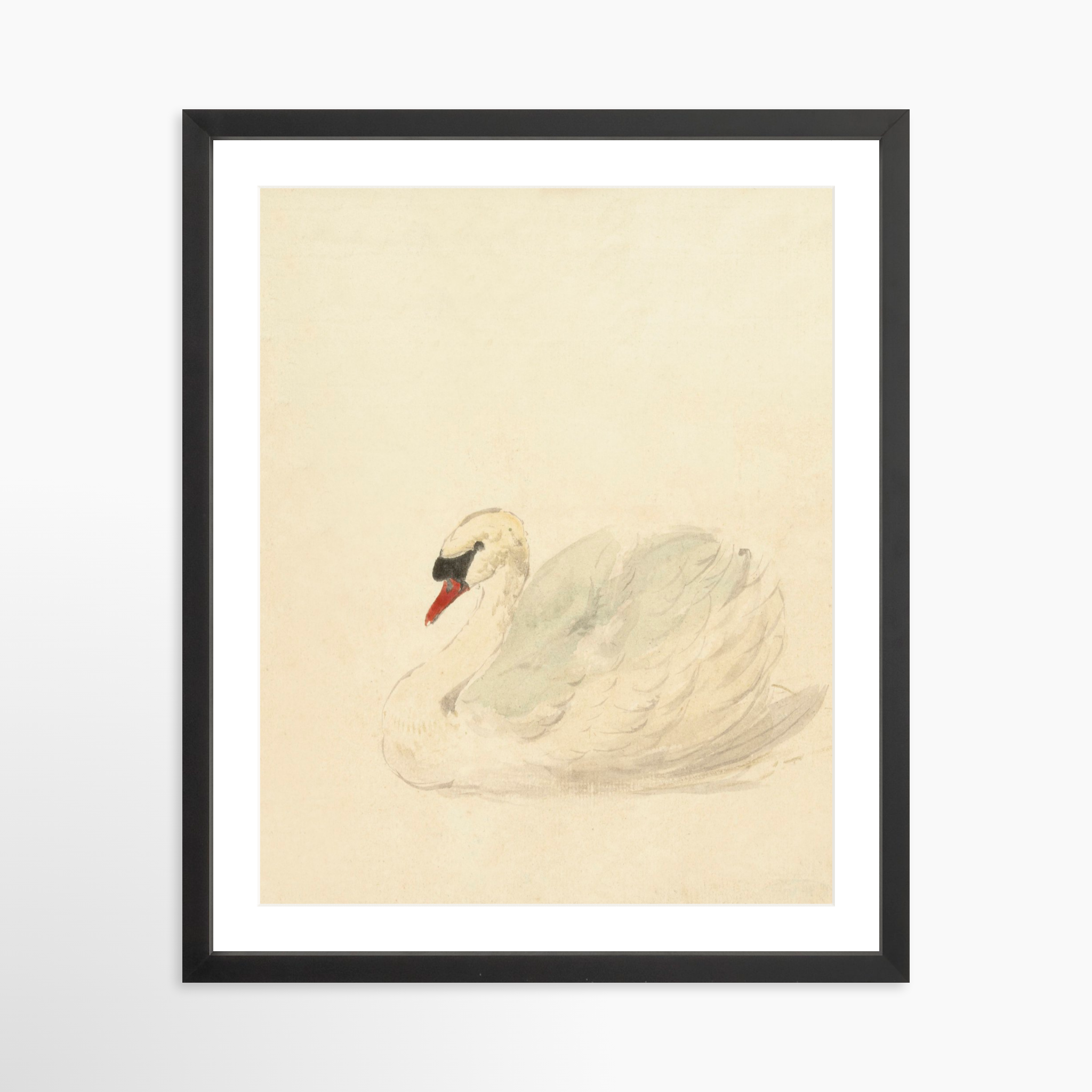 16x20 / Black Frame + White Mat