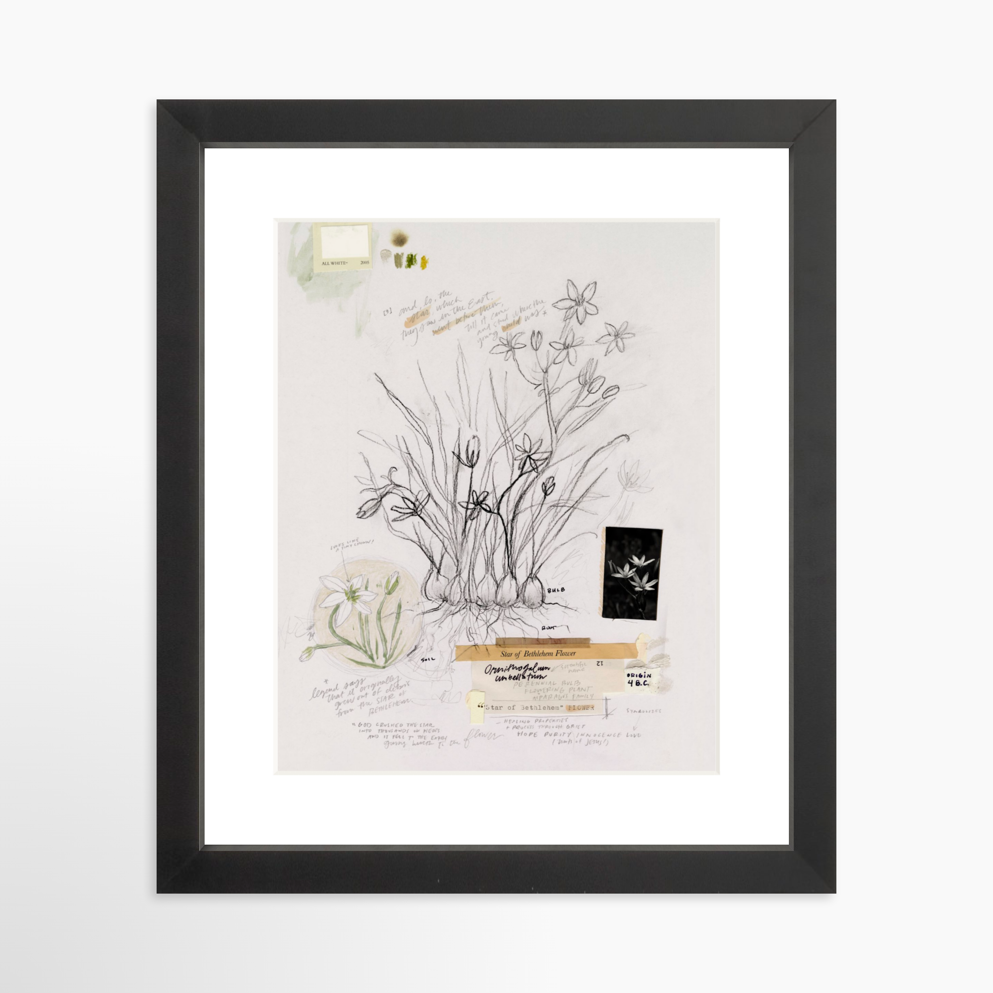 8x10 / Black Frame + White Mat