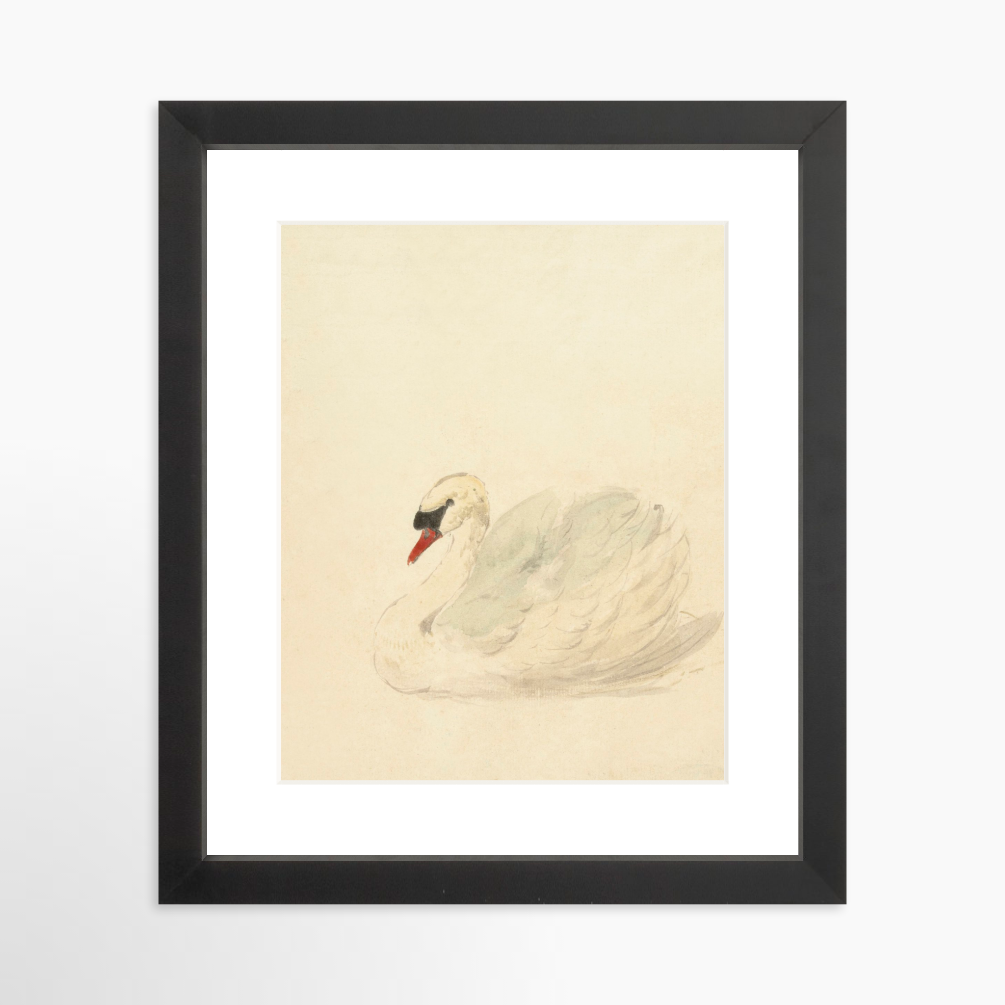 8x10 / Black Frame + White Mat