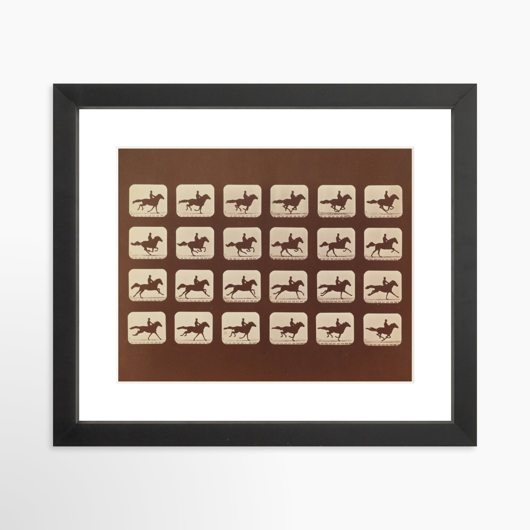 10x8 / Black Frame + White Mat