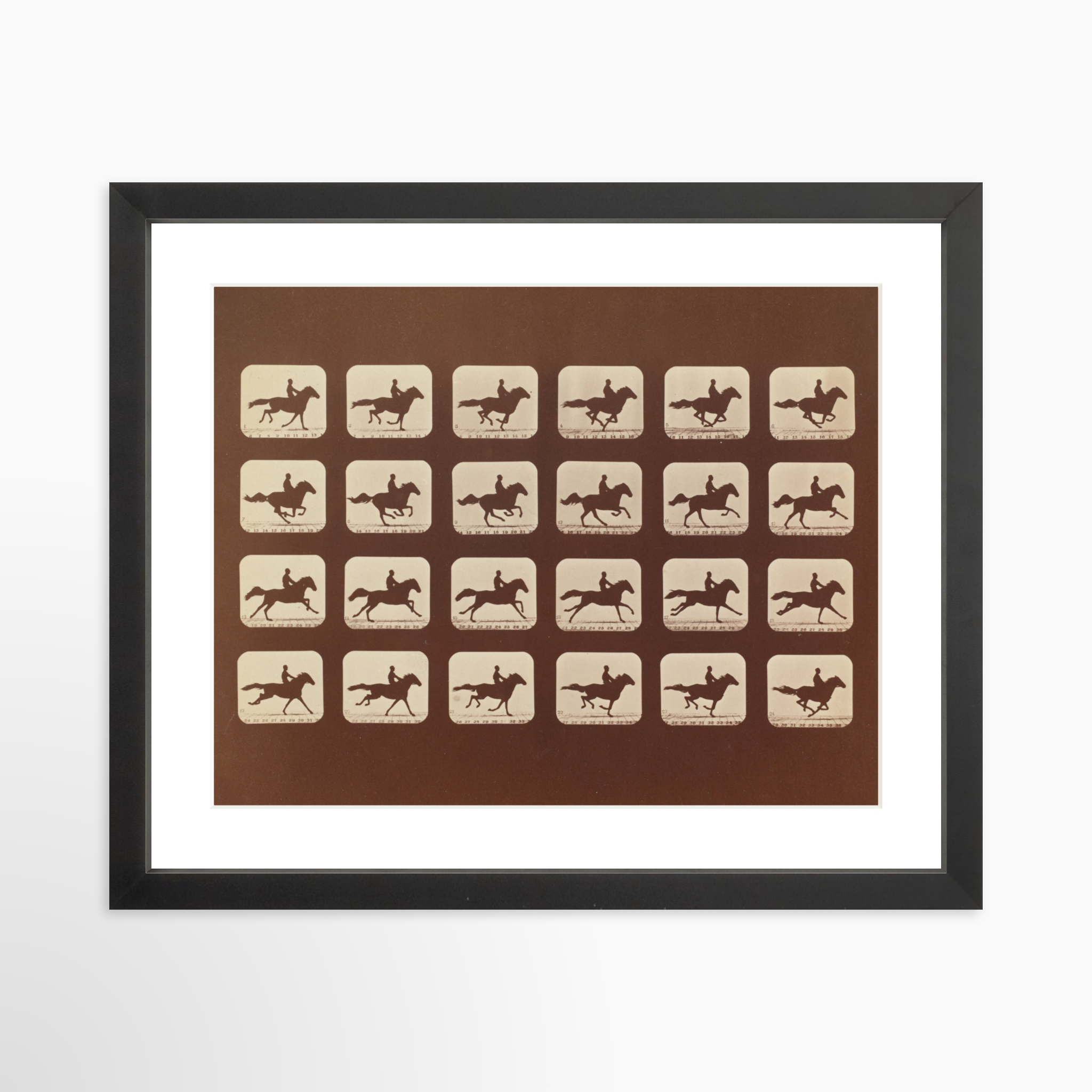 14x11 / Black Frame + White Mat