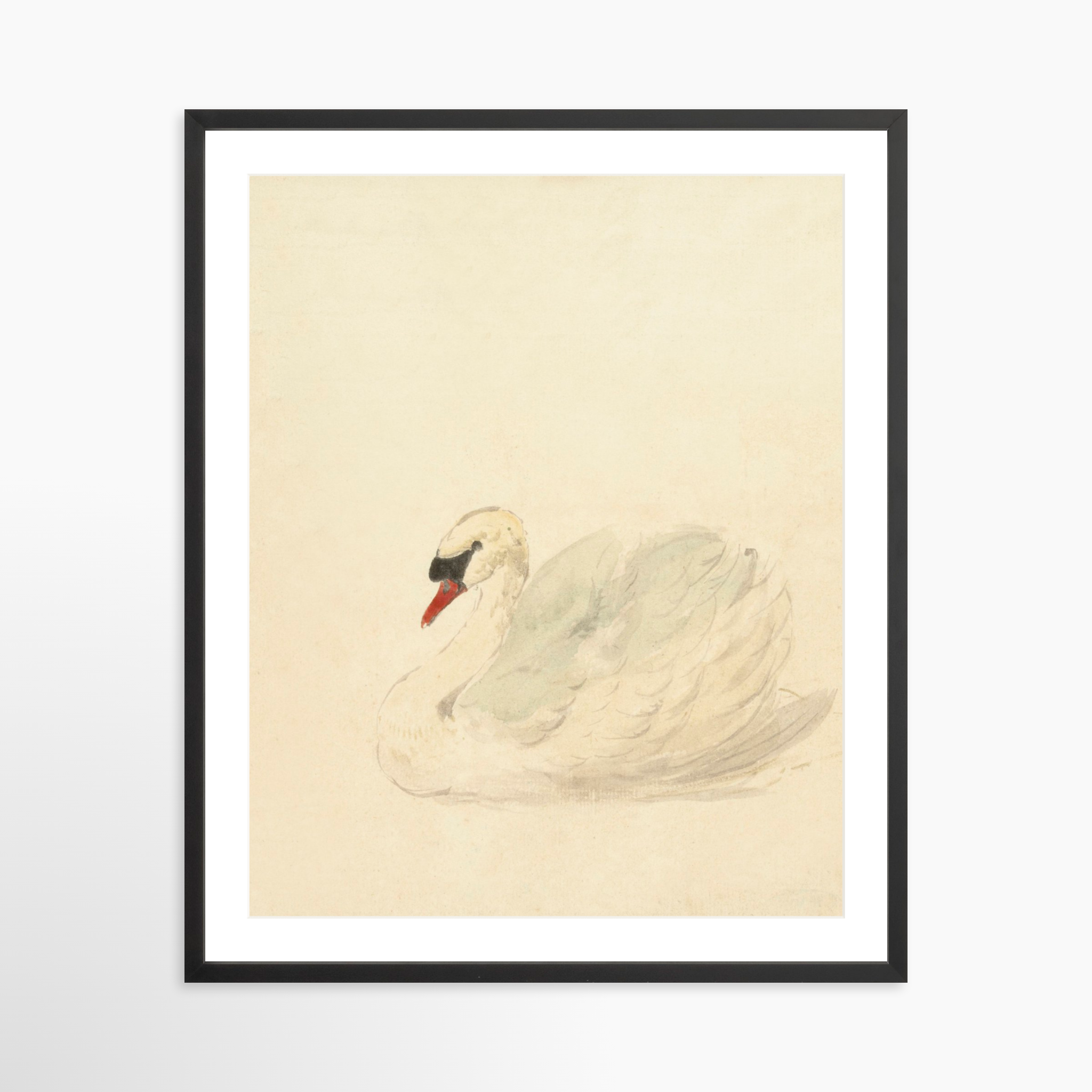 24x30 / Black Frame + White Mat