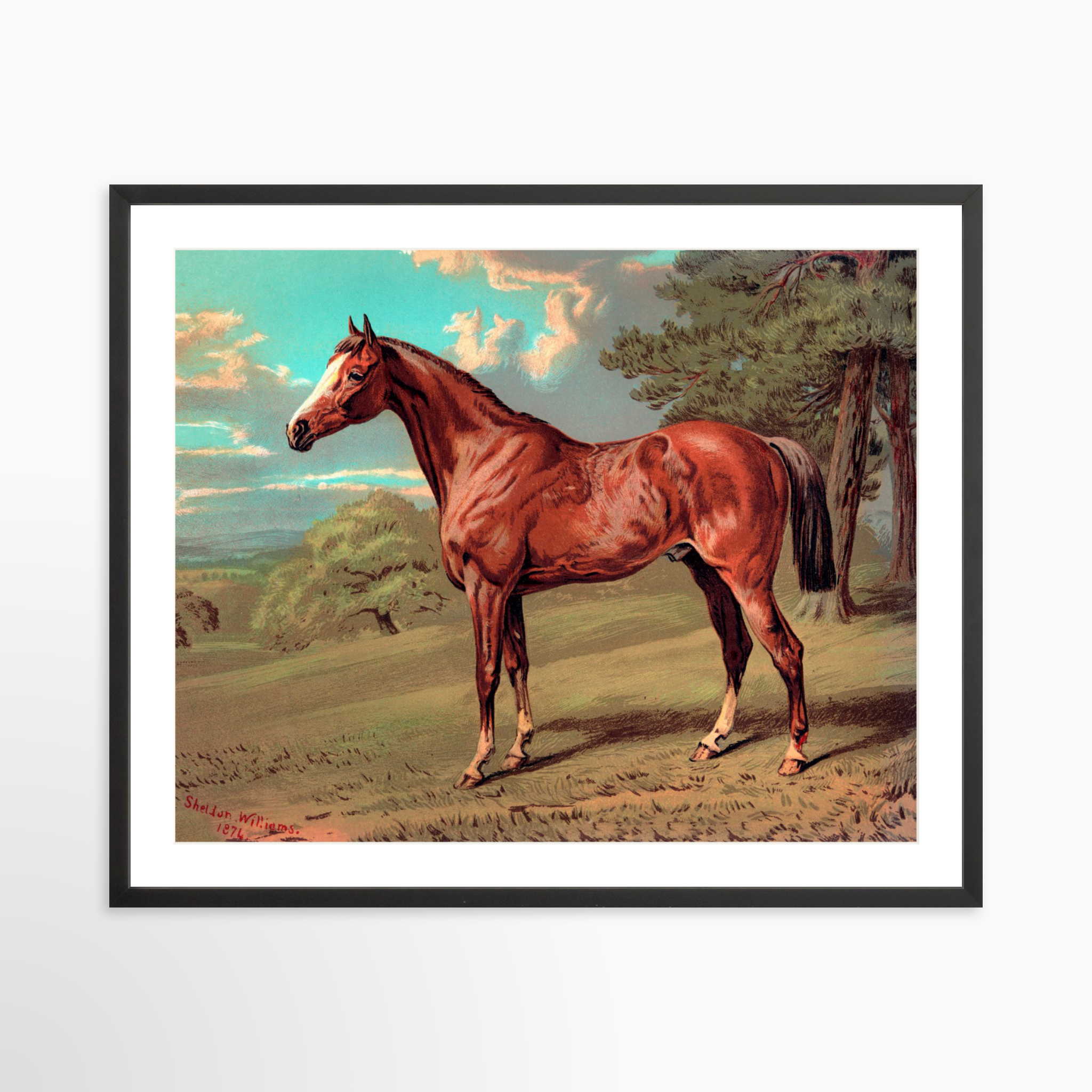 30x24 / Black Frame + White Mat