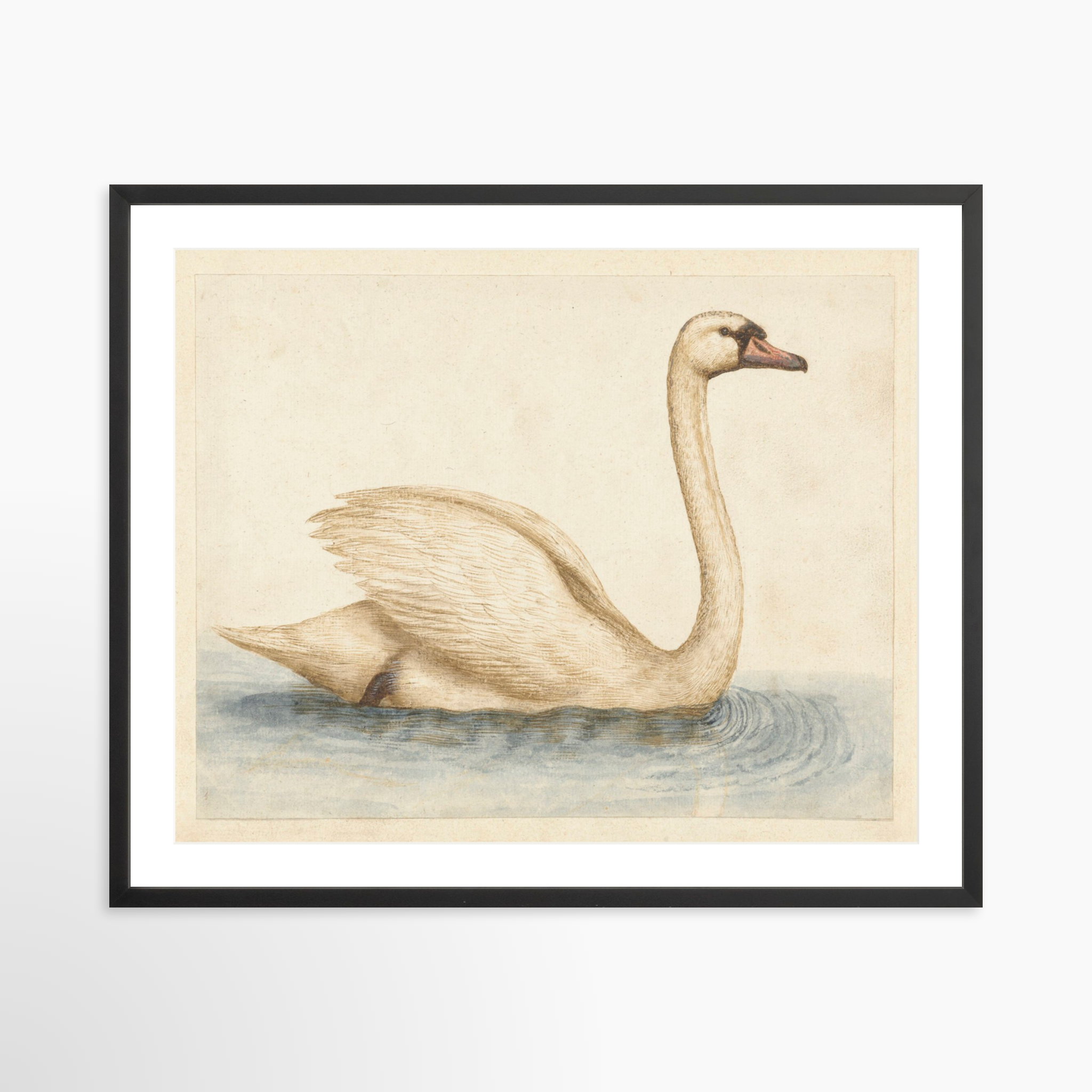 30x24 / Black Frame + White Mat