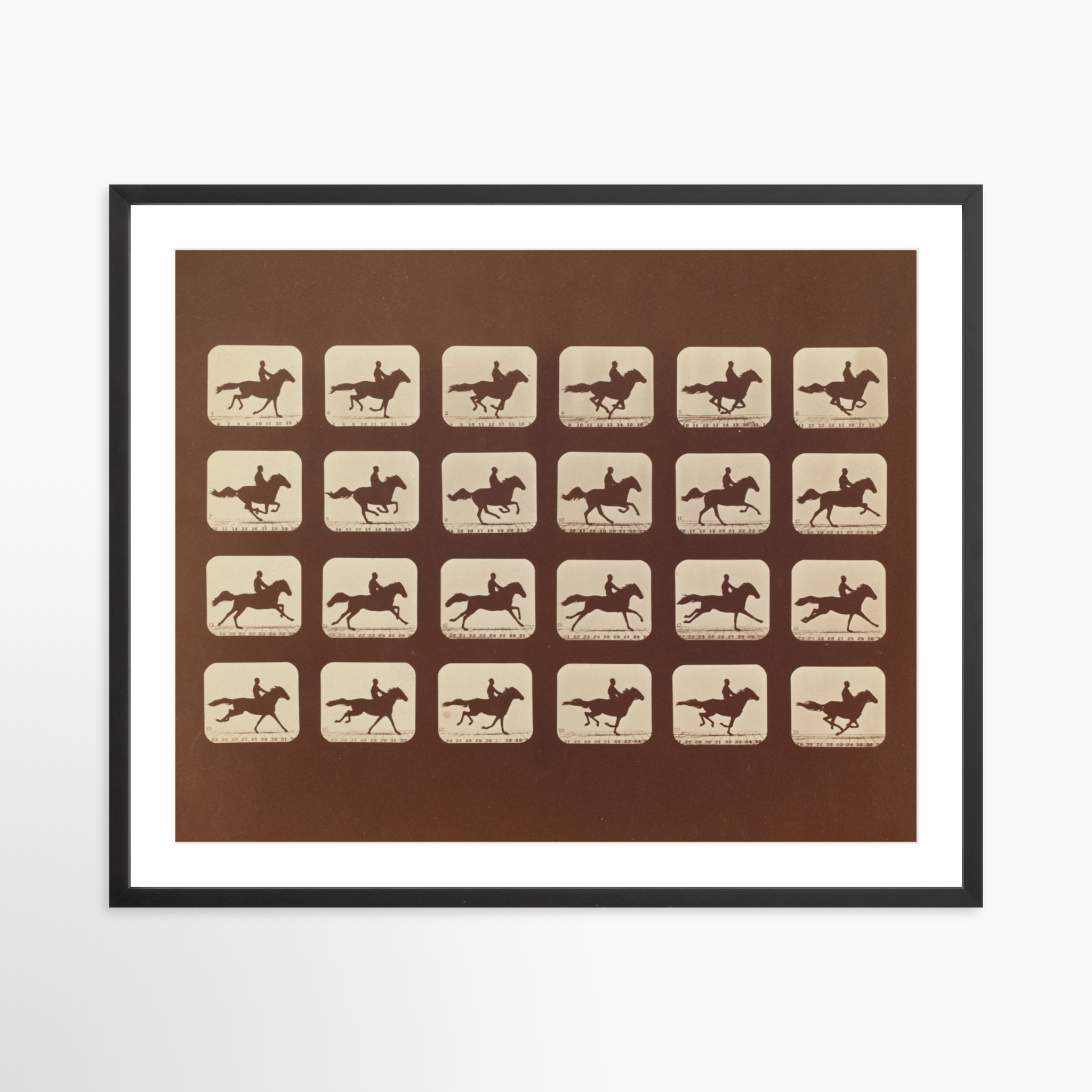 30x24 / Black Frame + White Mat