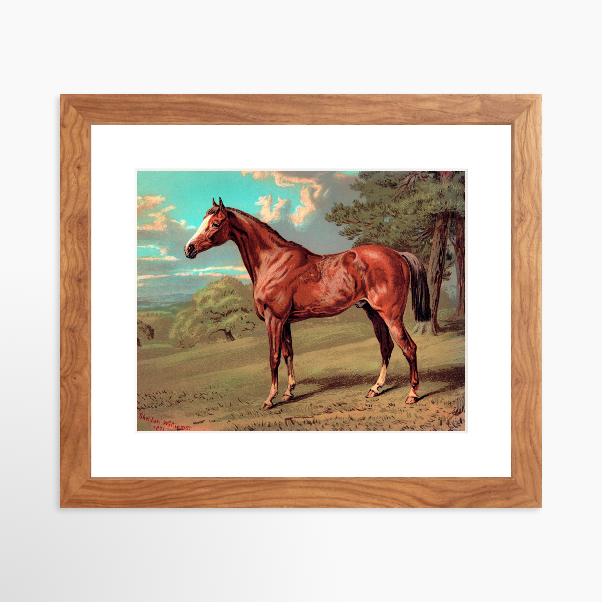 10x8 / Light Walnut Frame + White Mat