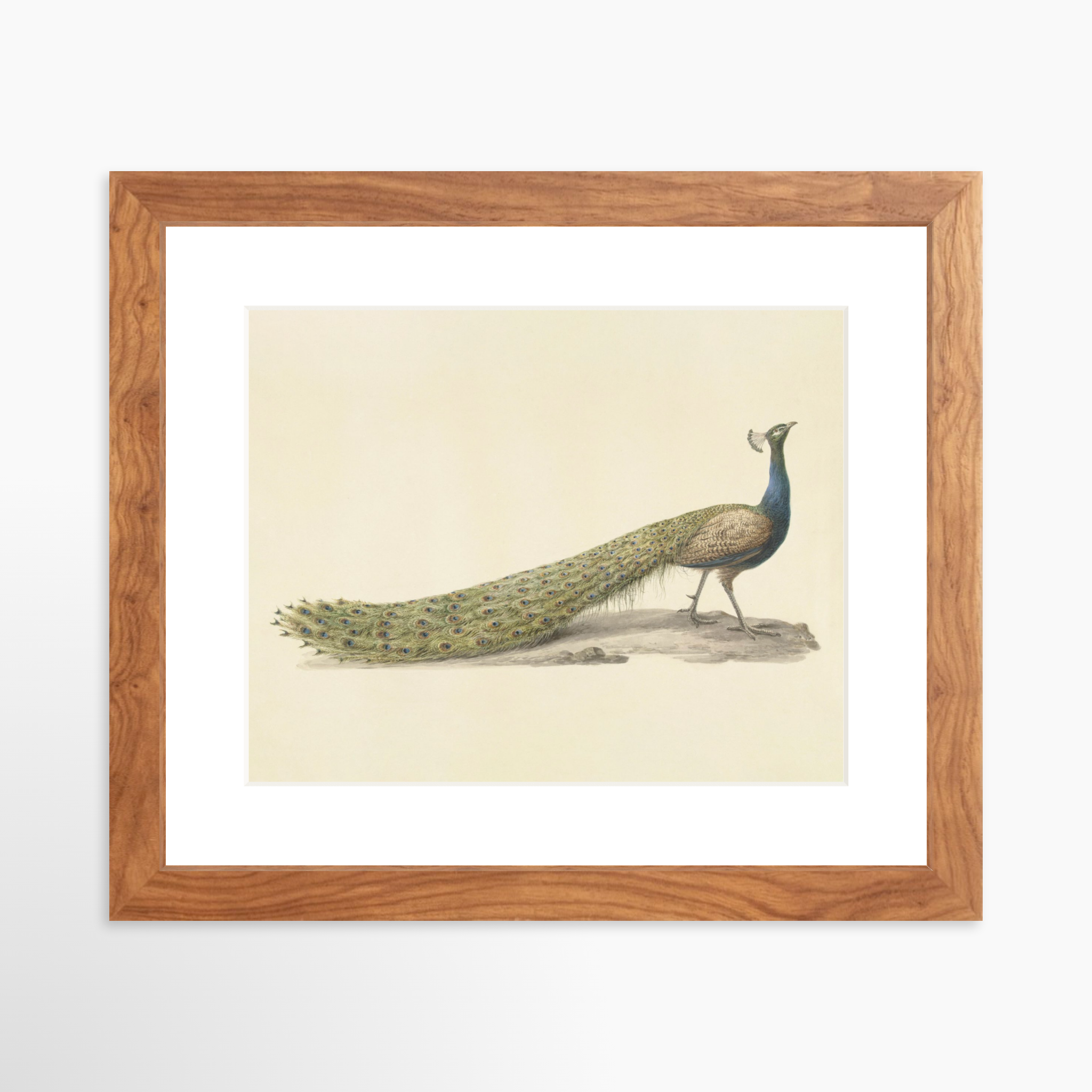 10x8 / Light Walnut Frame + White Mat