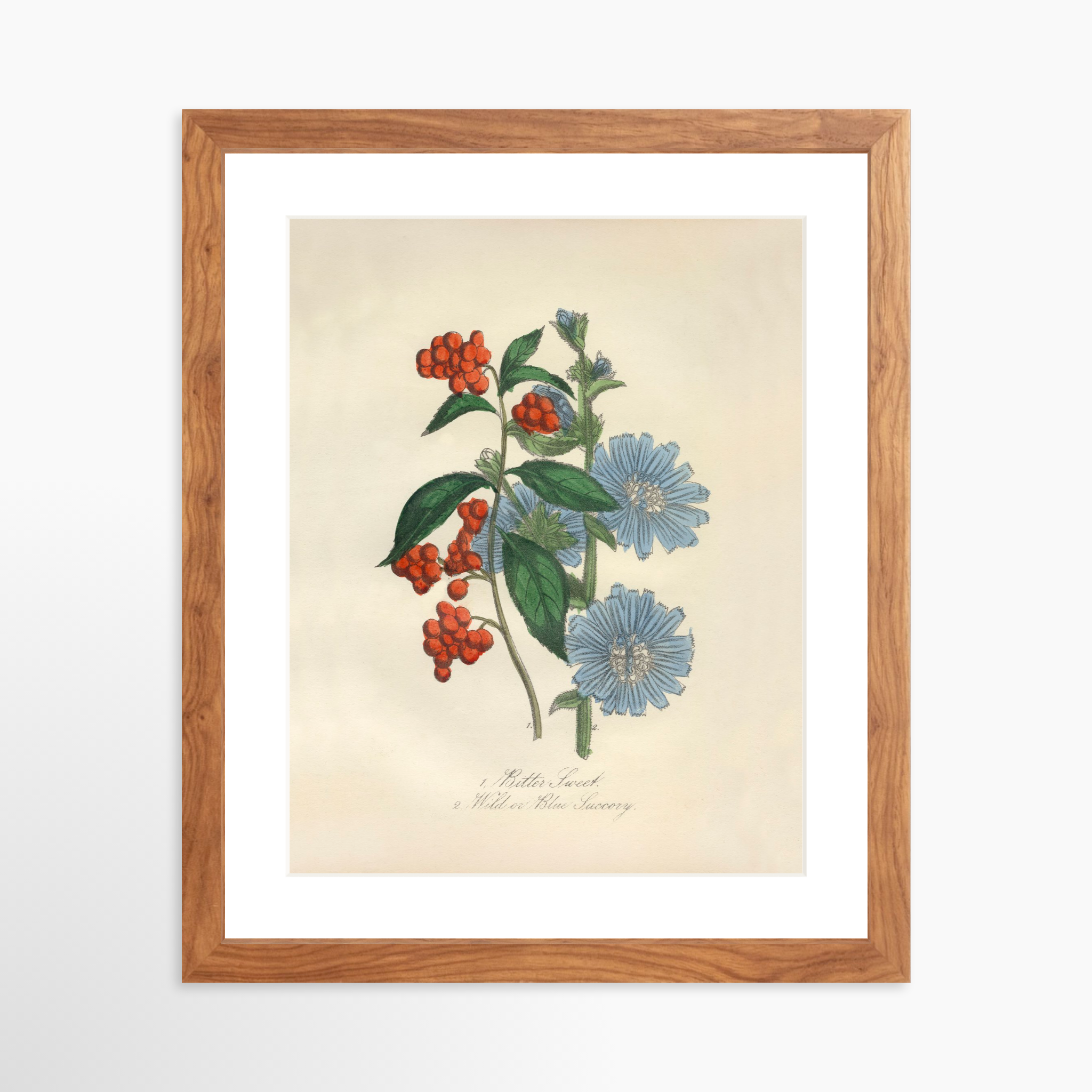 11x14 / Light Walnut Frame + White Mat