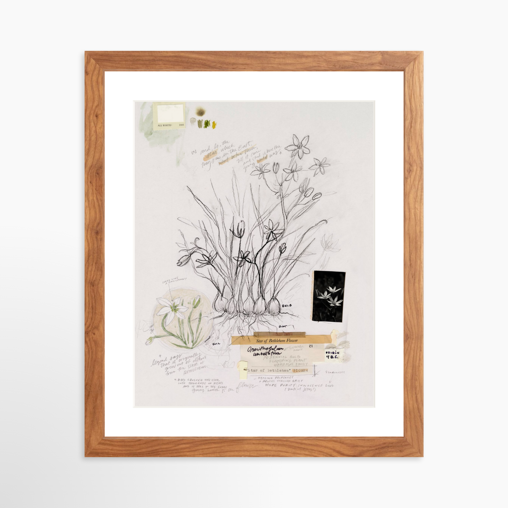 11x14 / Light Walnut Frame + White Mat