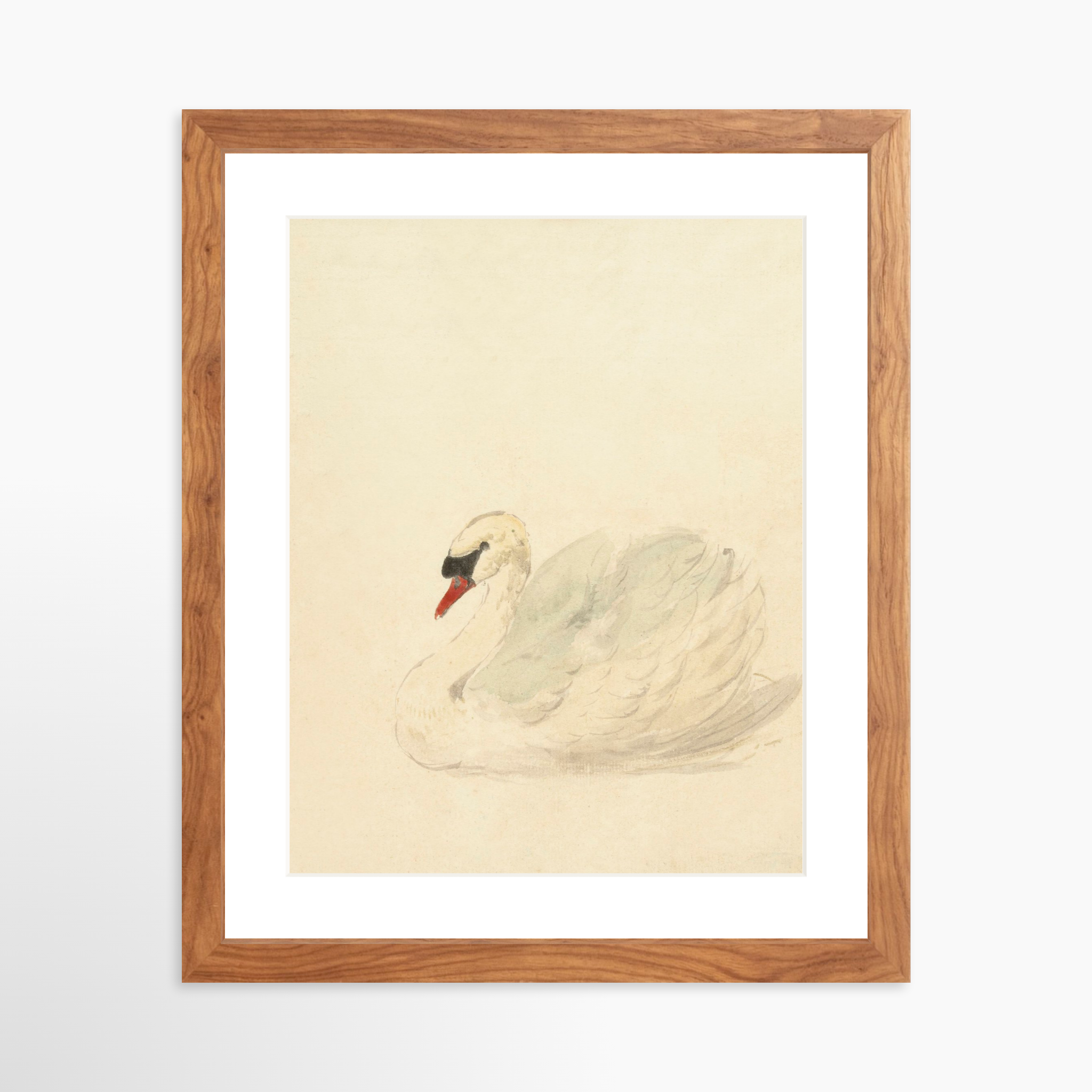 11x14 / Light Walnut Frame + White Mat