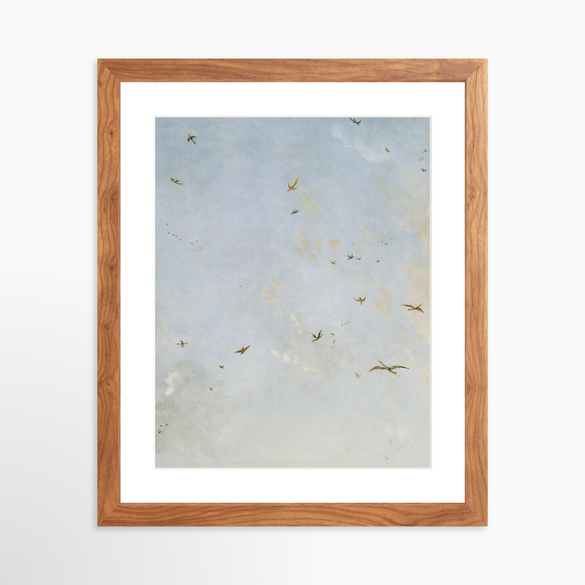 11x14 / Light Walnut Frame + White Mat