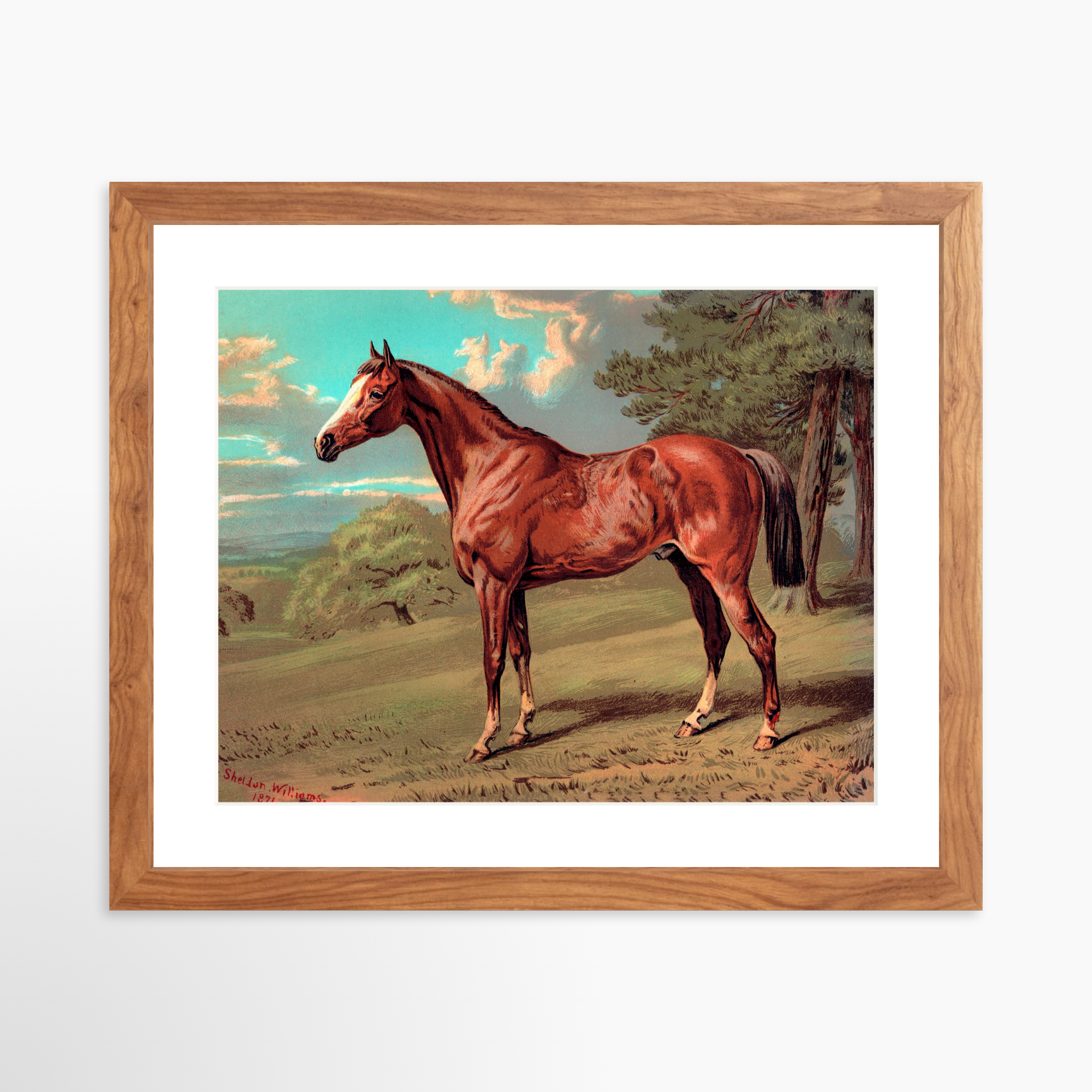 14x11 / Light Walnut Frame + White Mat