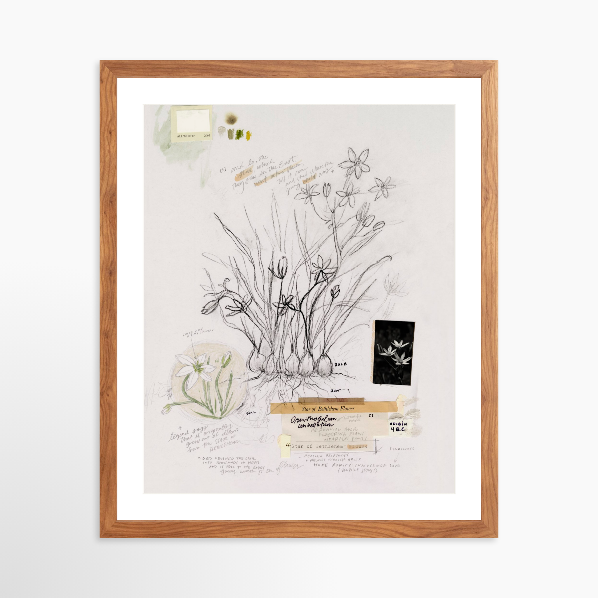 16x20 / Light Walnut Frame + White Mat