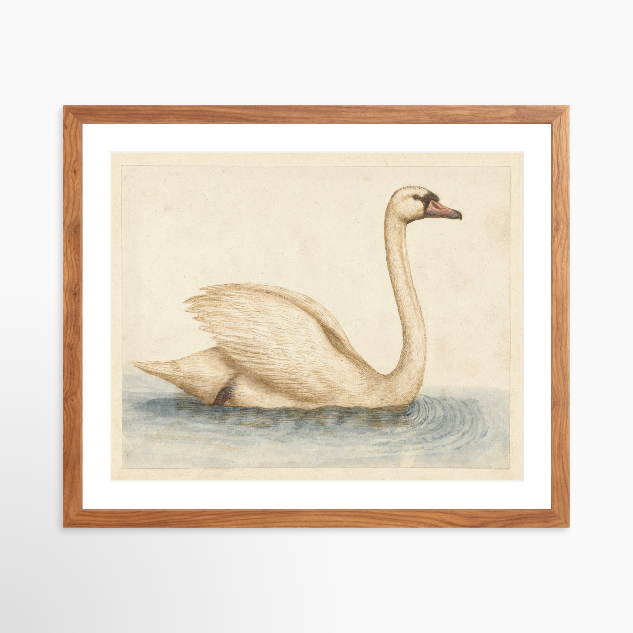 20x16 / Light Walnut Frame + White Mat