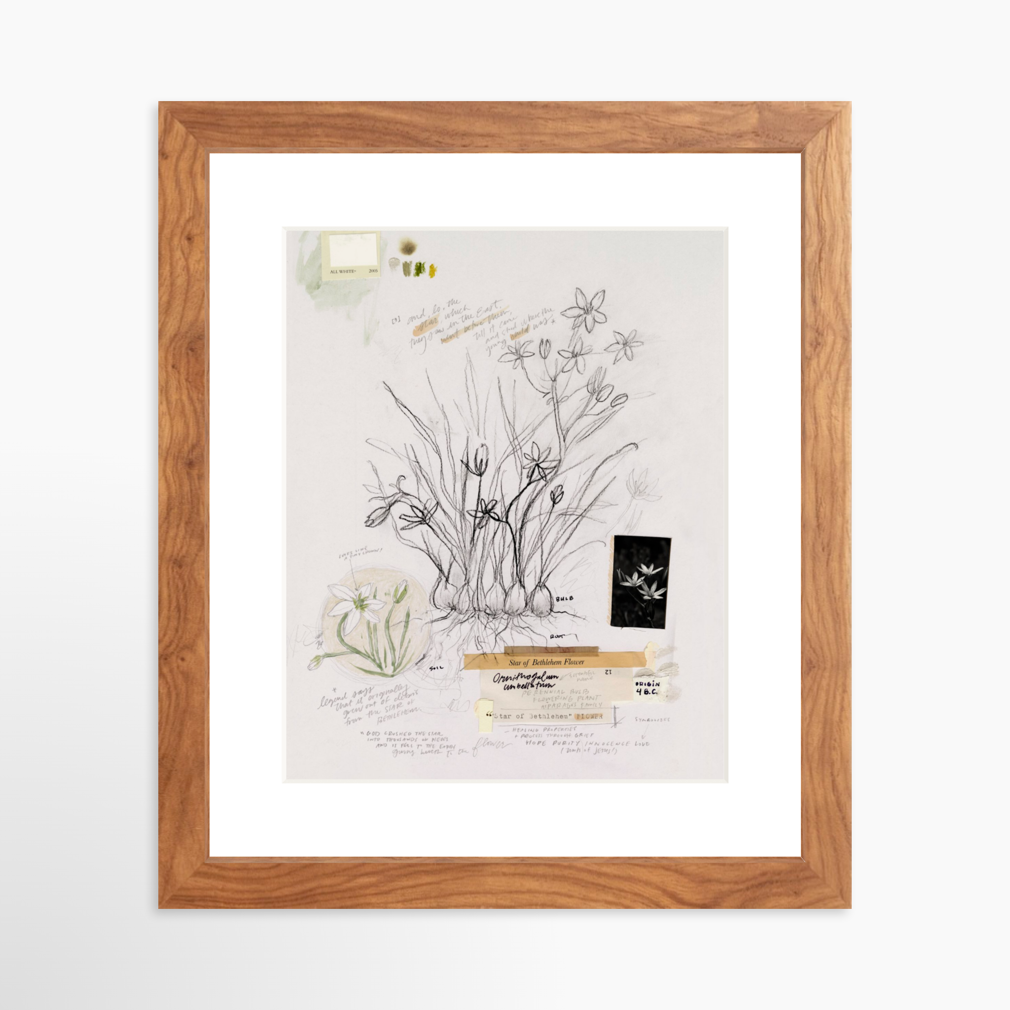 8x10 / Light Walnut Frame + White Mat