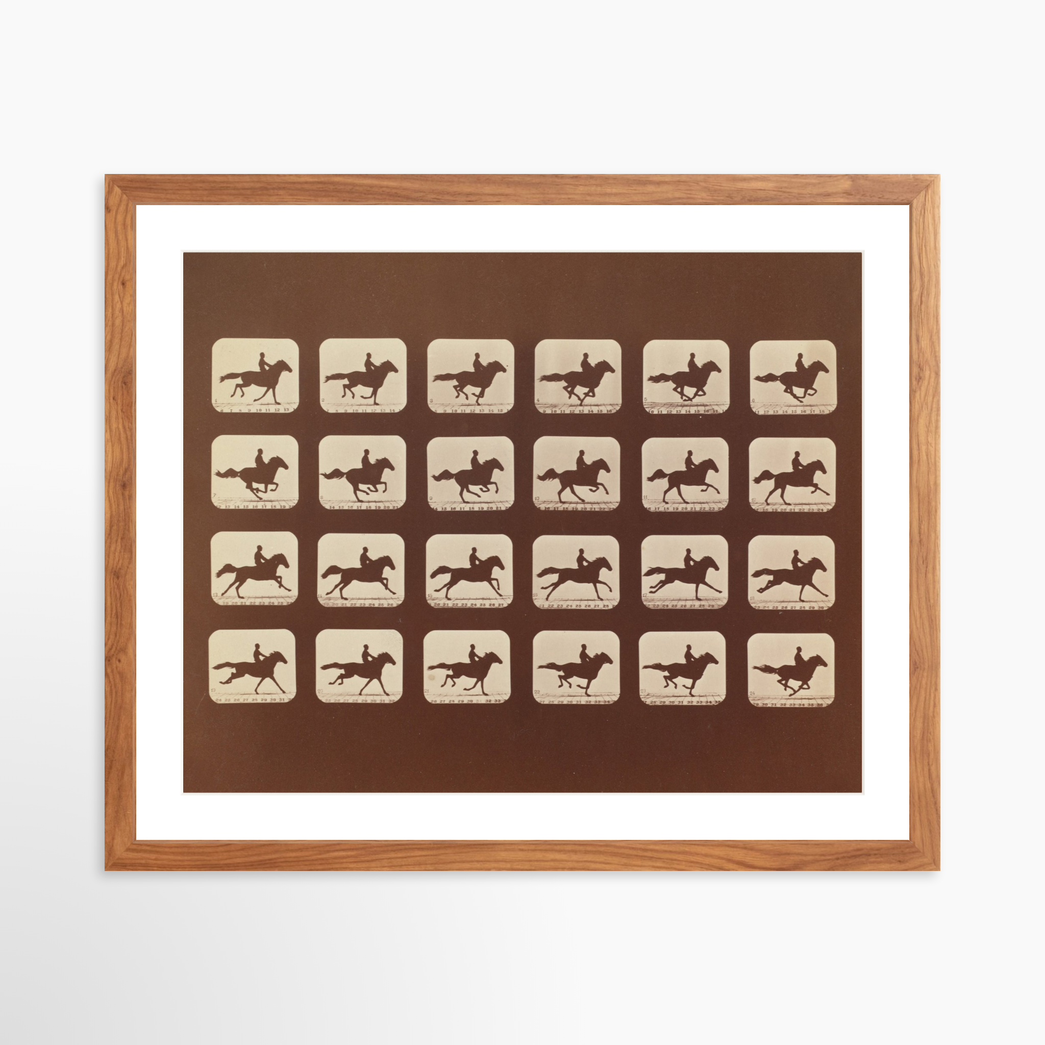 20x16 / Light Walnut Frame + White Mat