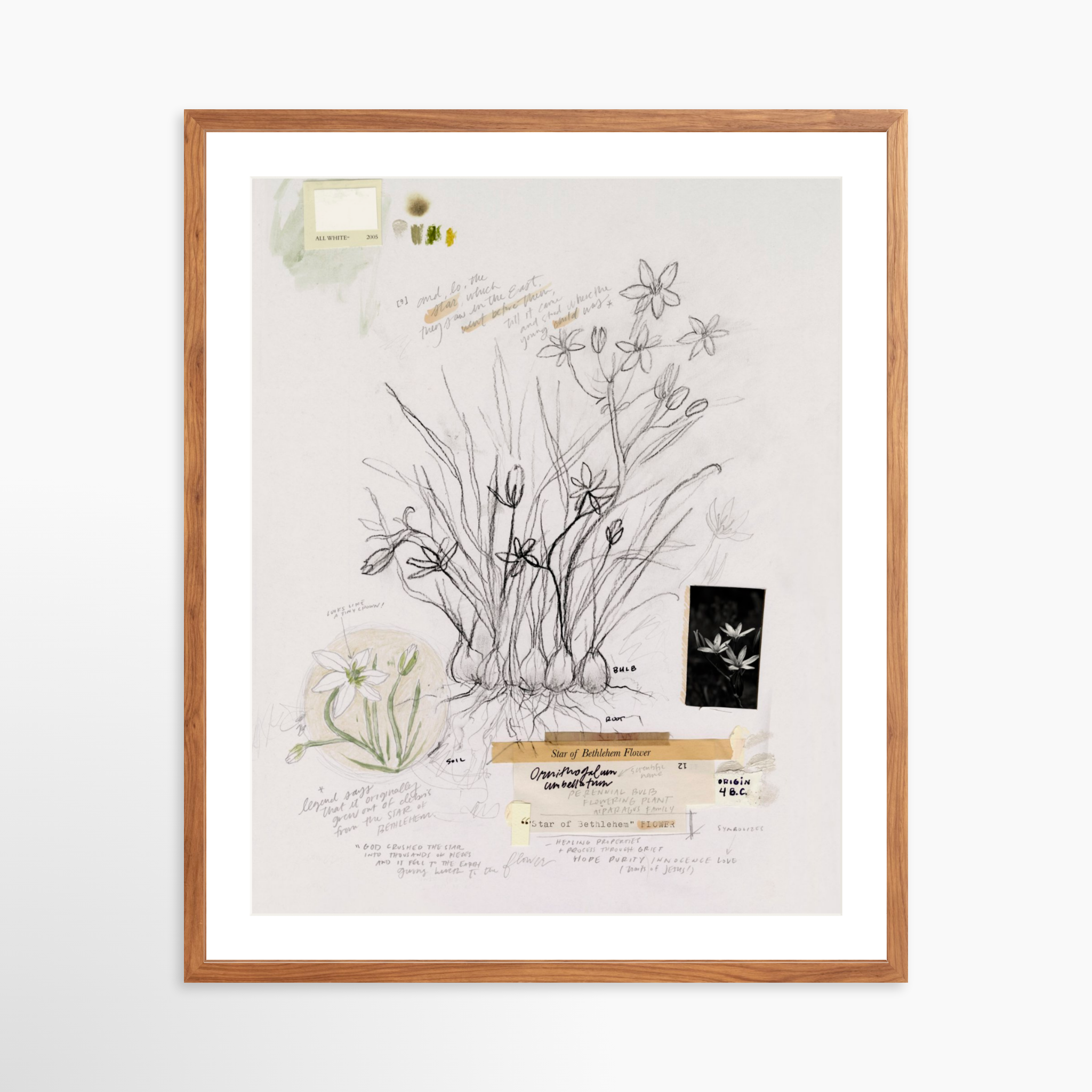 24x30 / Light Walnut Frame + White Mat