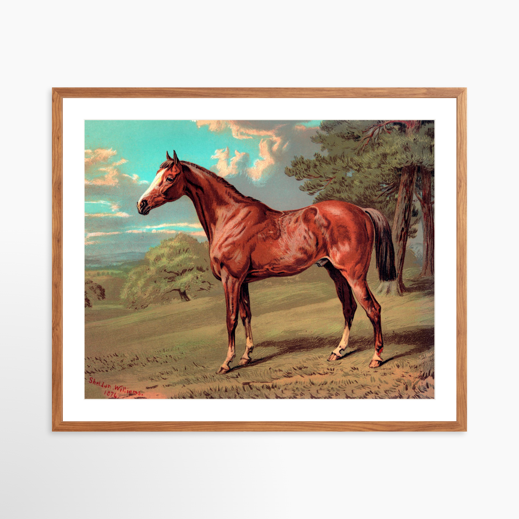 30x24 / Light Walnut Frame + White Mat