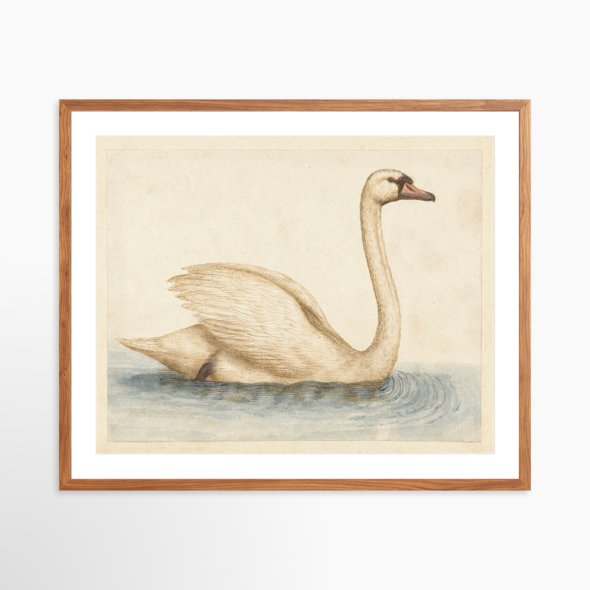 30x24 / Light Walnut Frame + White Mat
