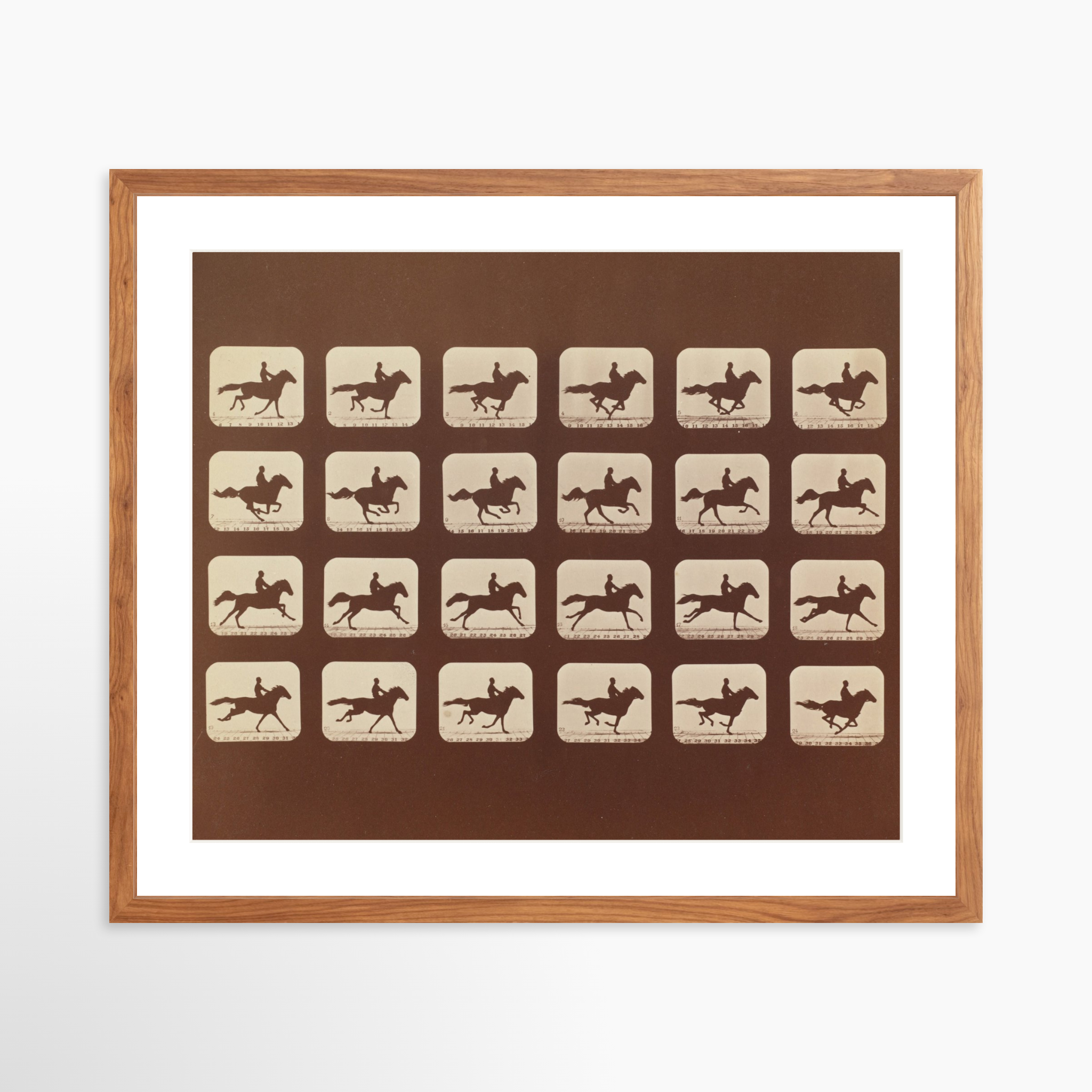 24x20 / Light Walnut Frame + White Mat