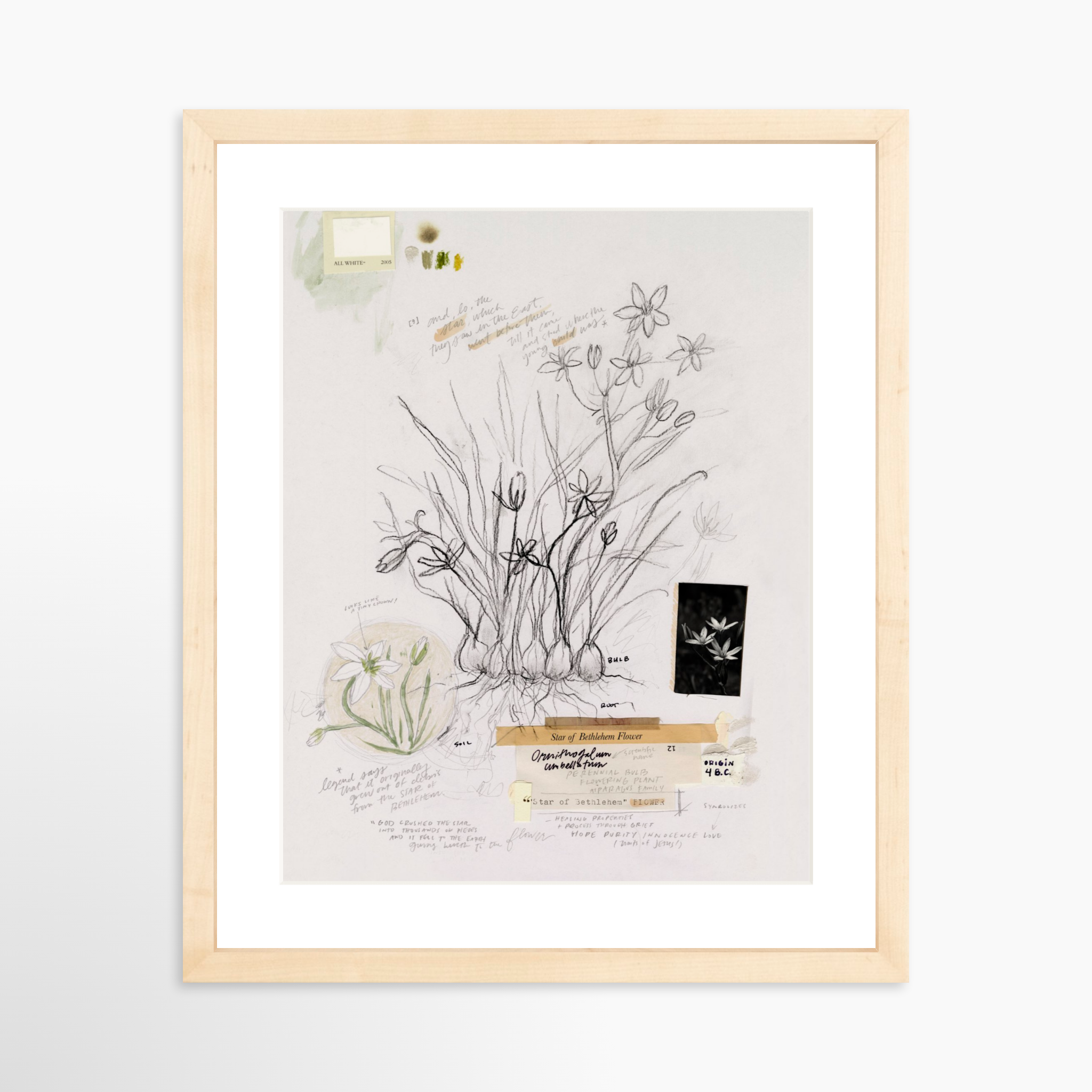 11x14 / Natural Frame + White Mat