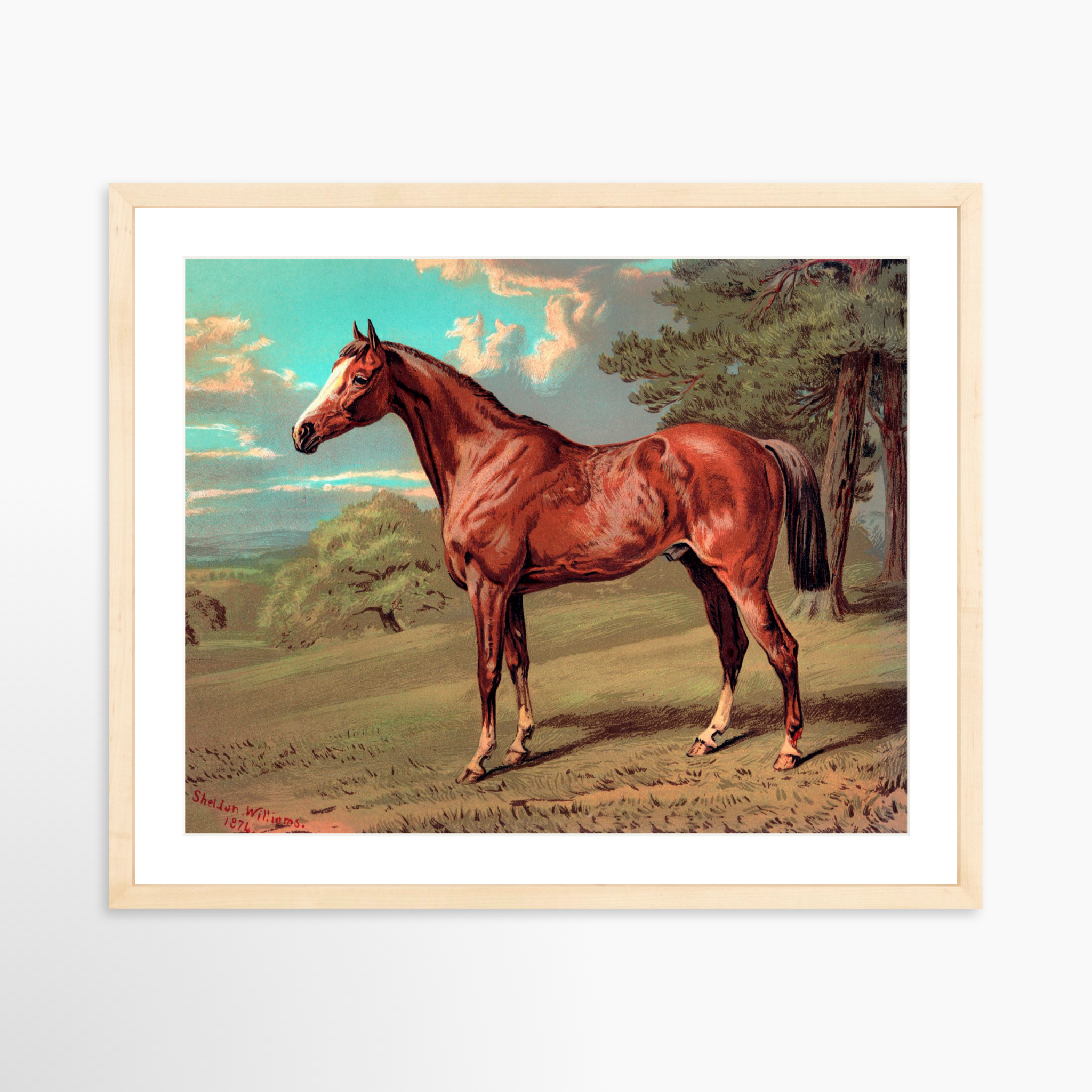 20x16 / Natural Frame + White Mat