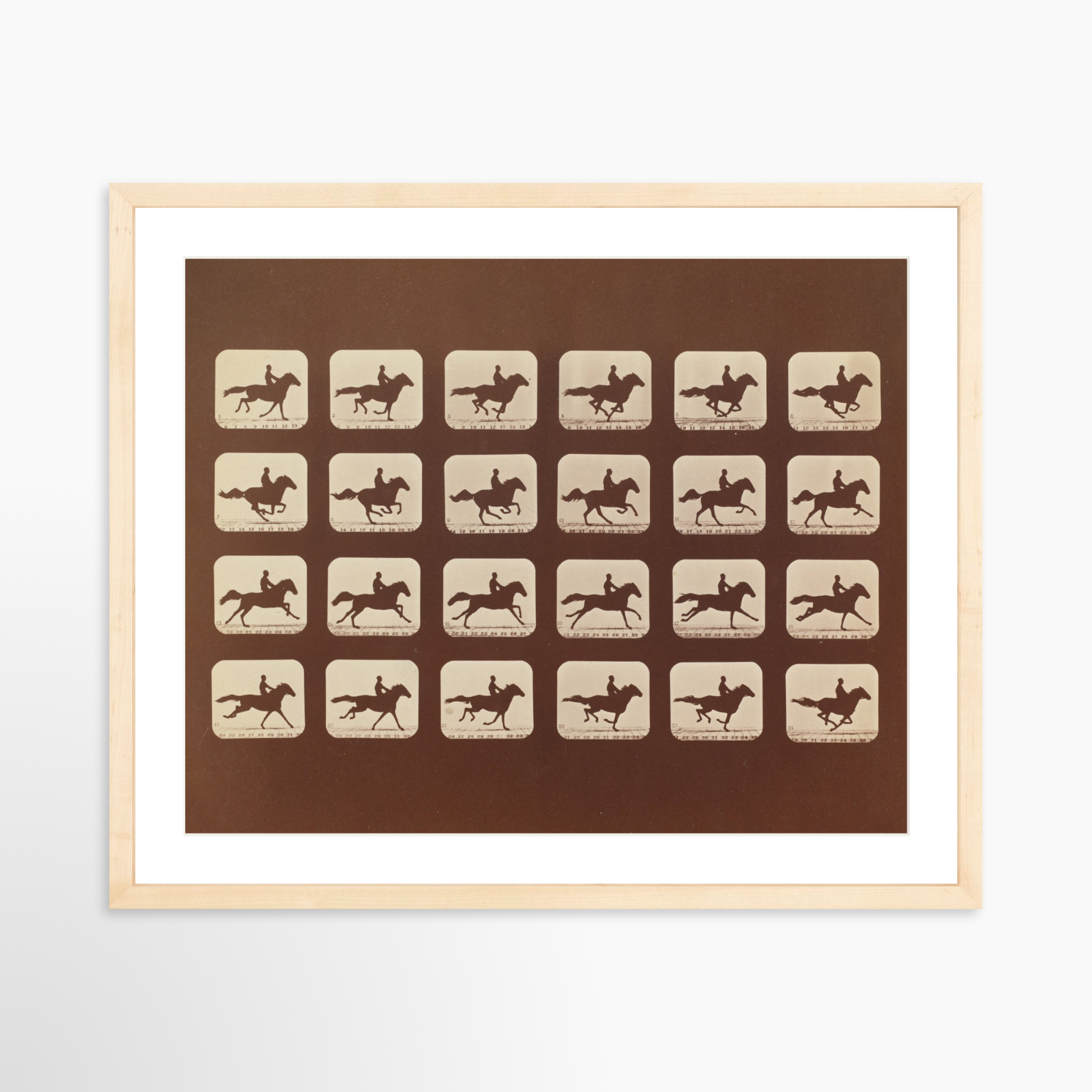 20x16 / Natural Frame + White Mat