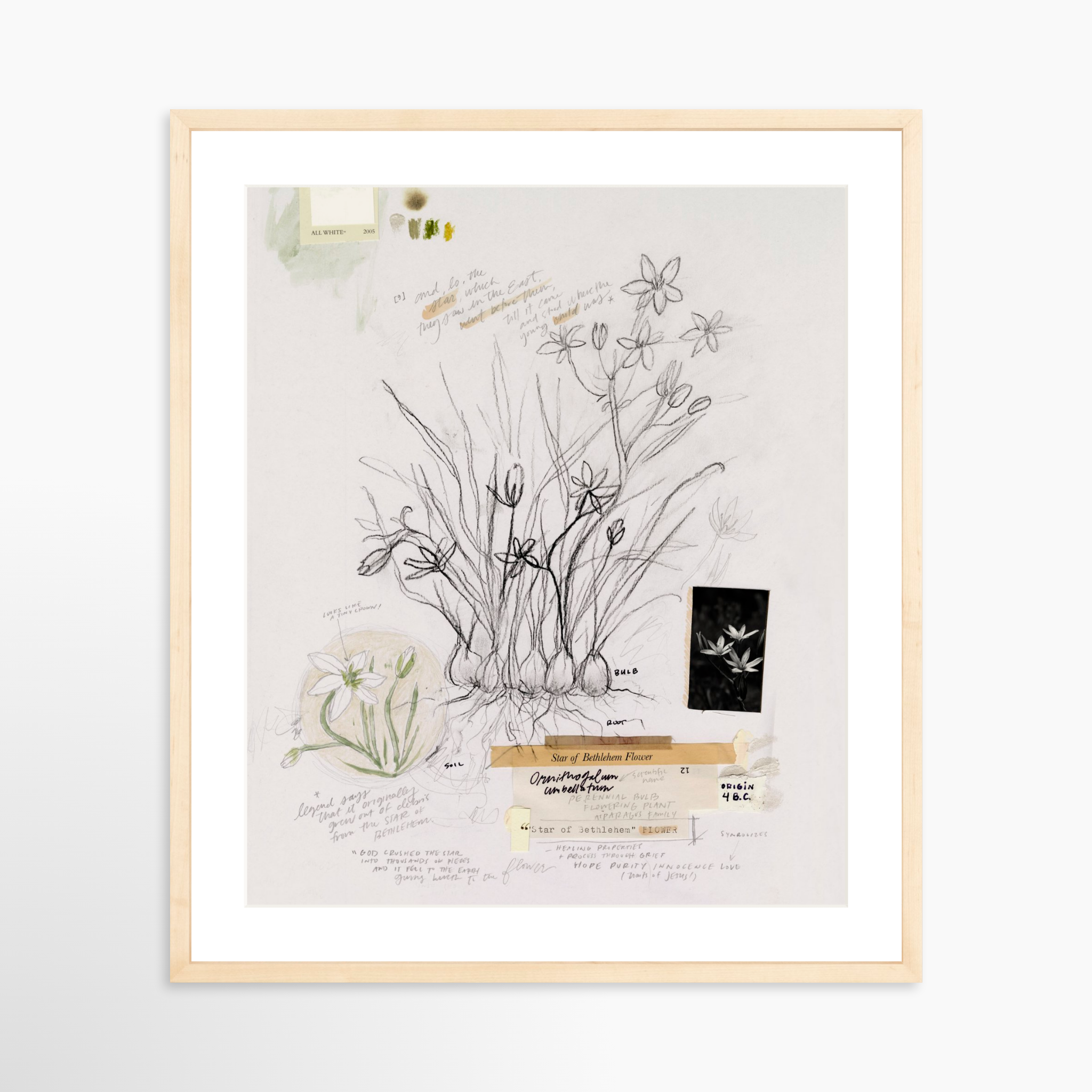 20x25 / Natural Frame + White Mat