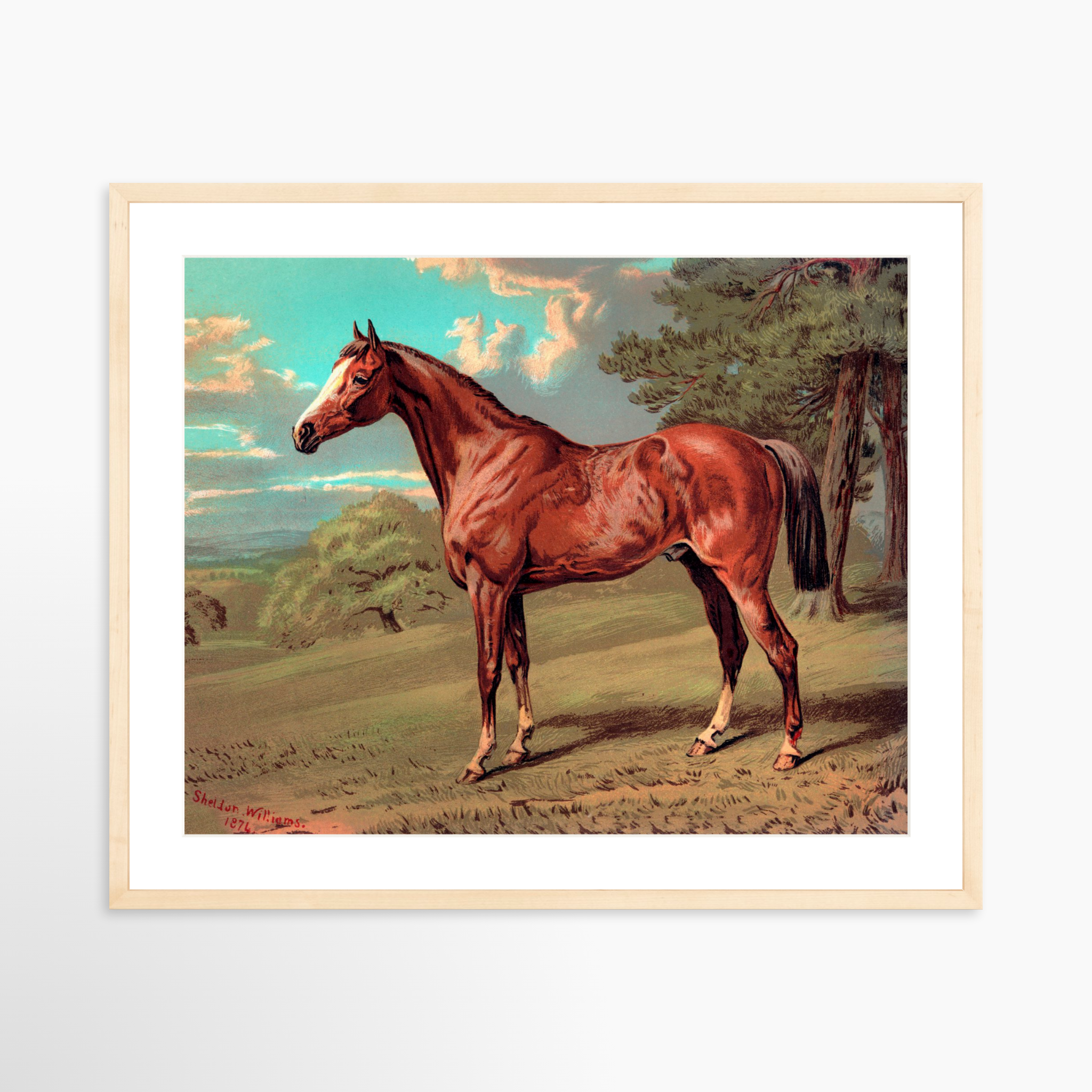 25x20 / Natural Frame + White Mat