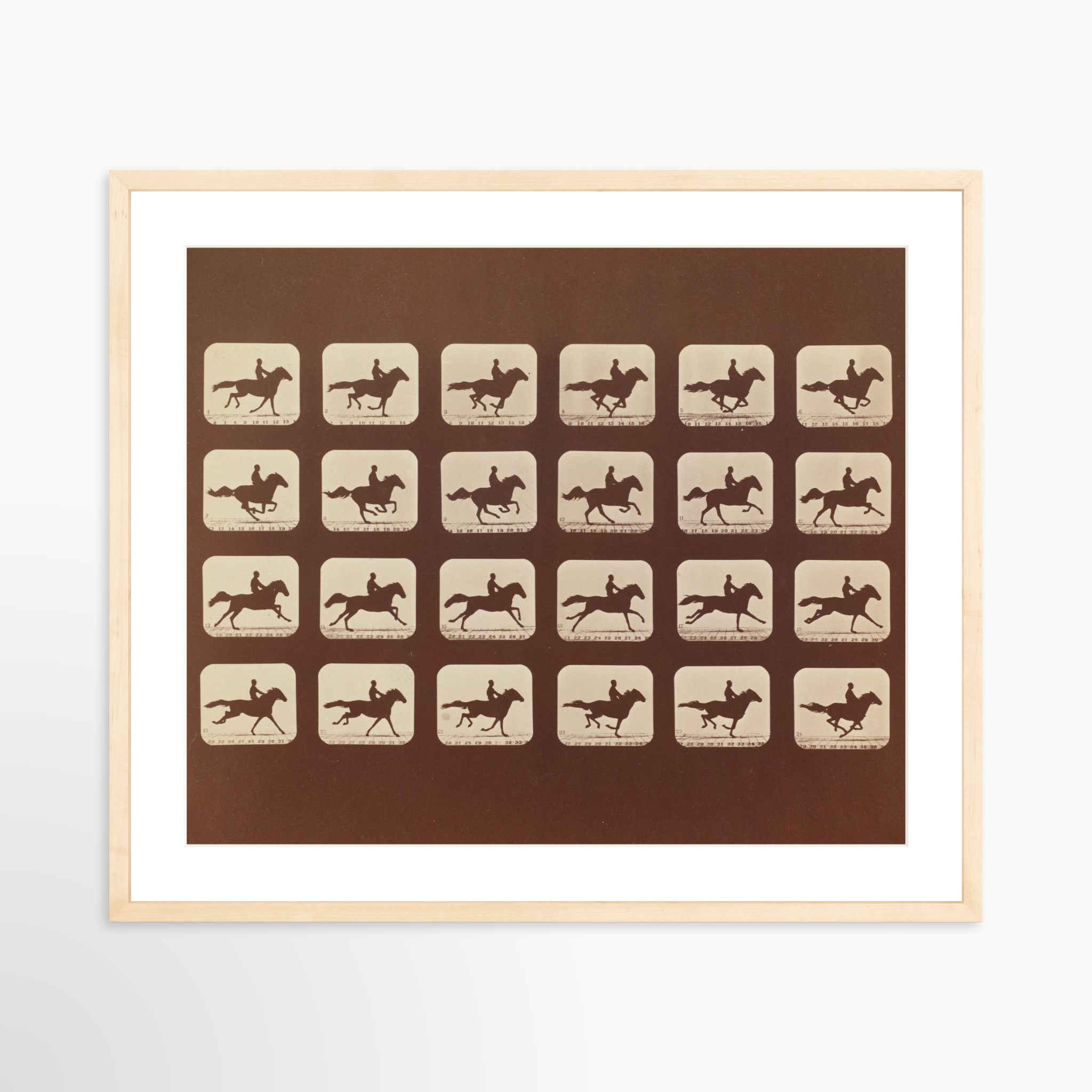 24x20 / Natural Frame + White Mat