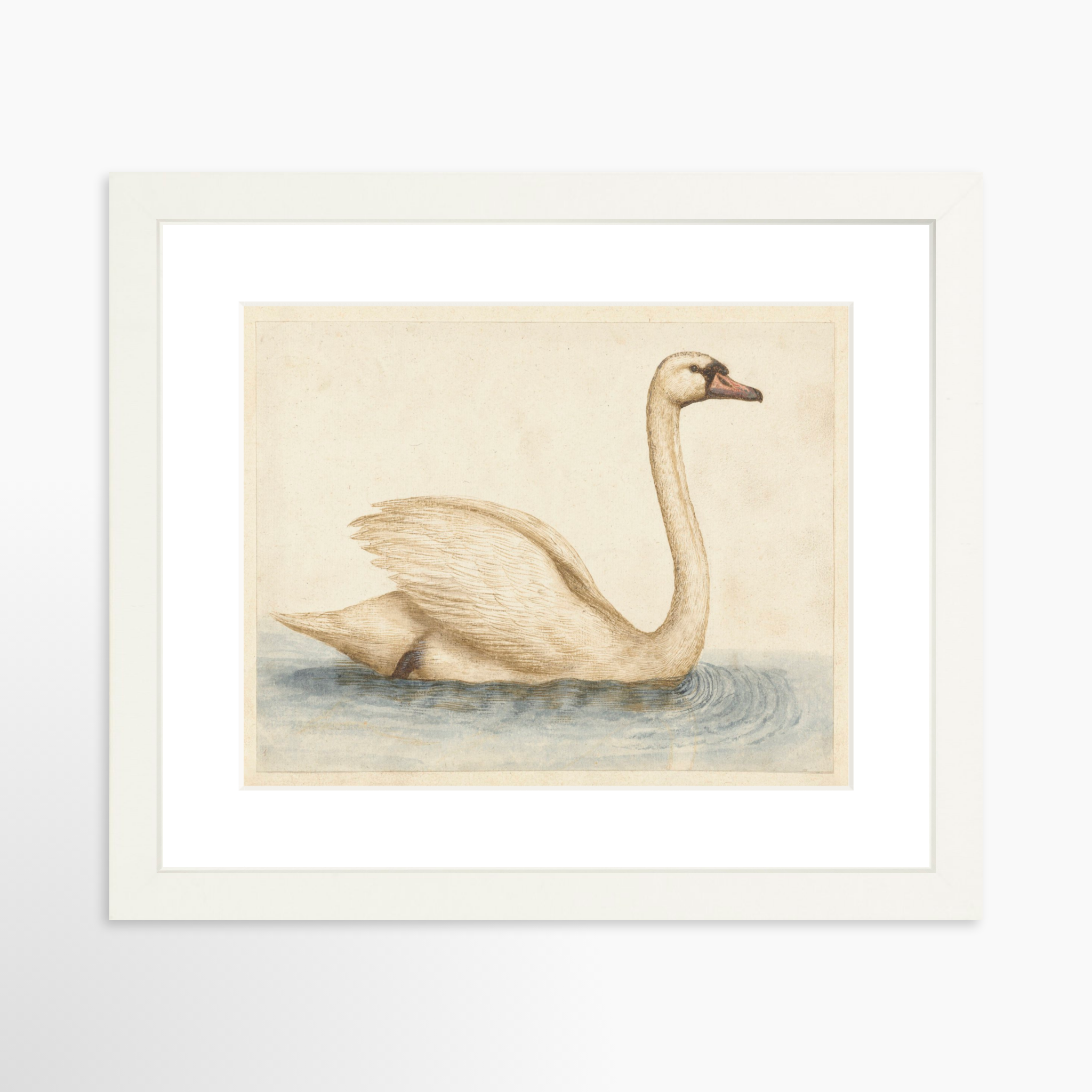 10x8 / White Frame + White Mat