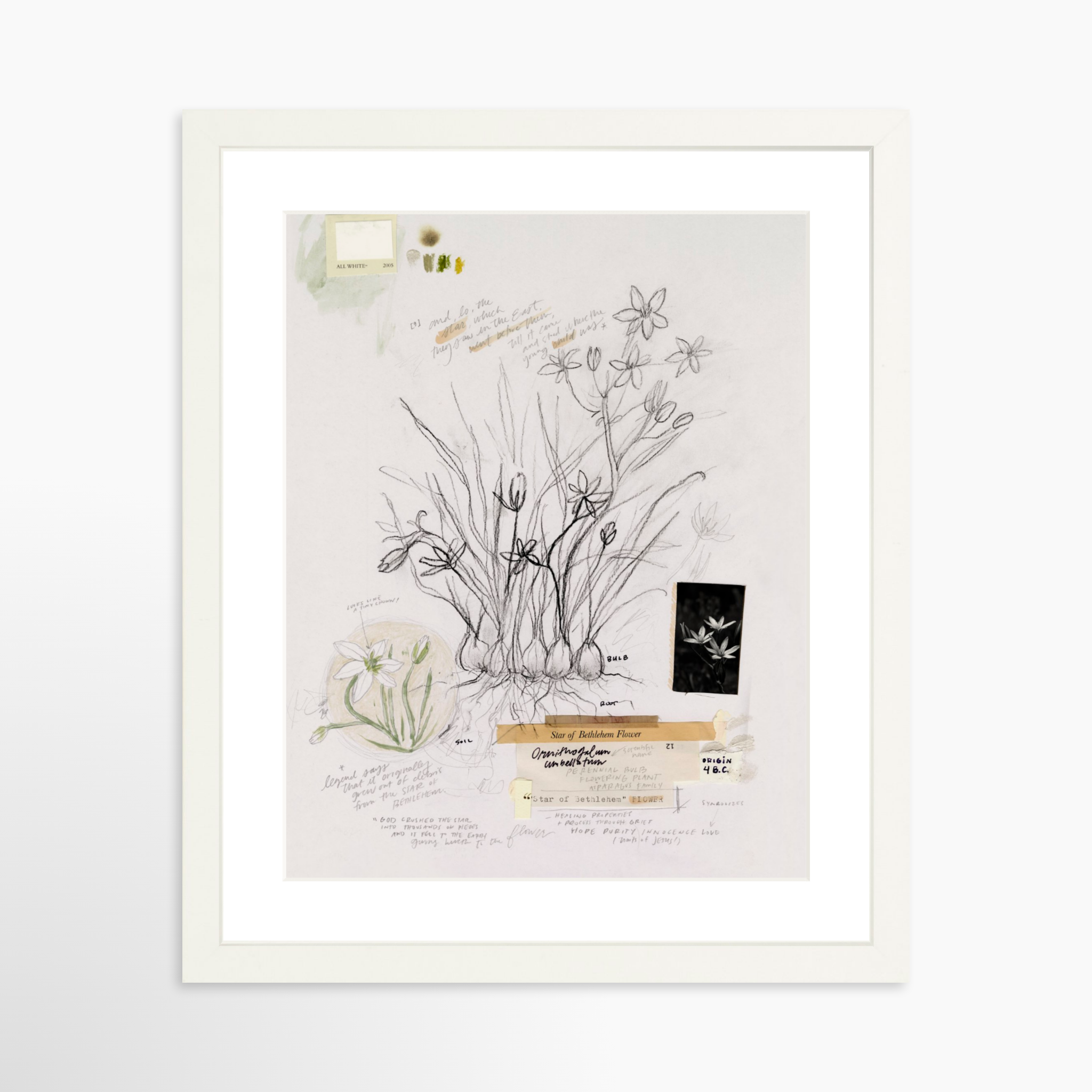 11x14 / White Frame + White Mat
