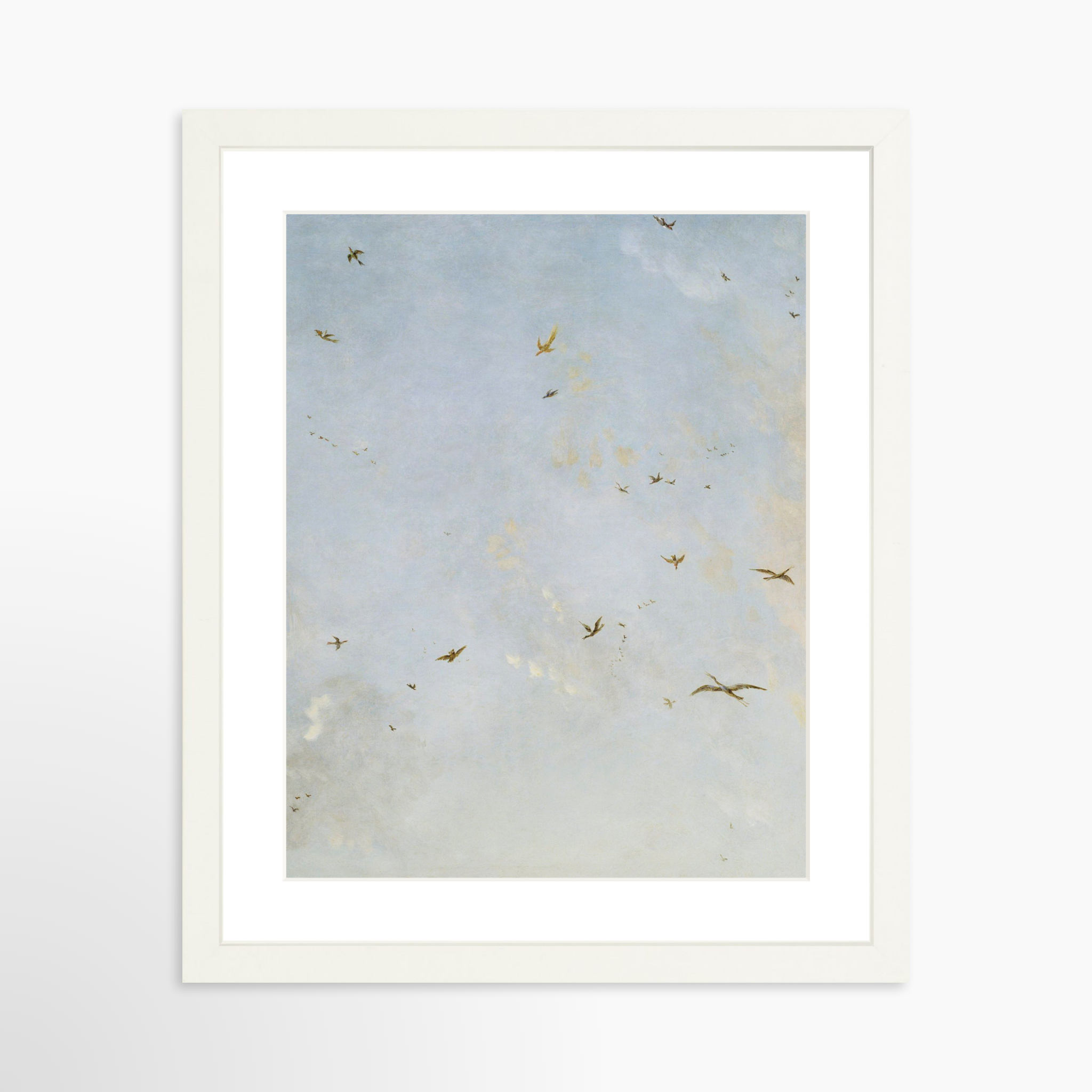 11x14 / White Frame + White Mat