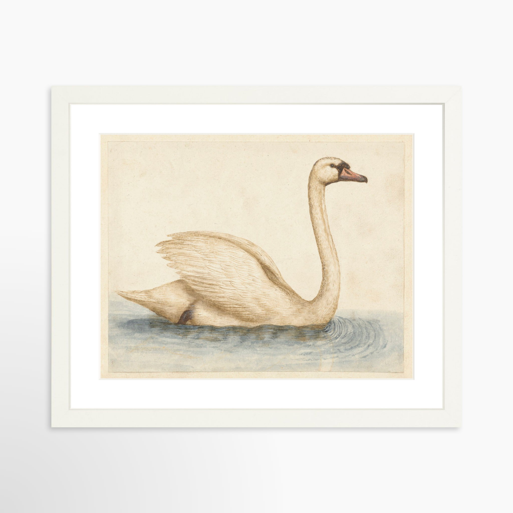 14x11 / White Frame + White Mat