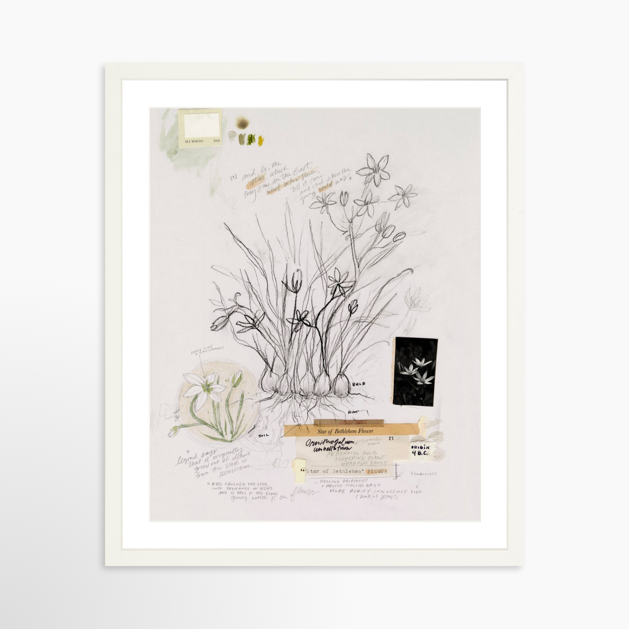 16x20 / White Frame + White Mat