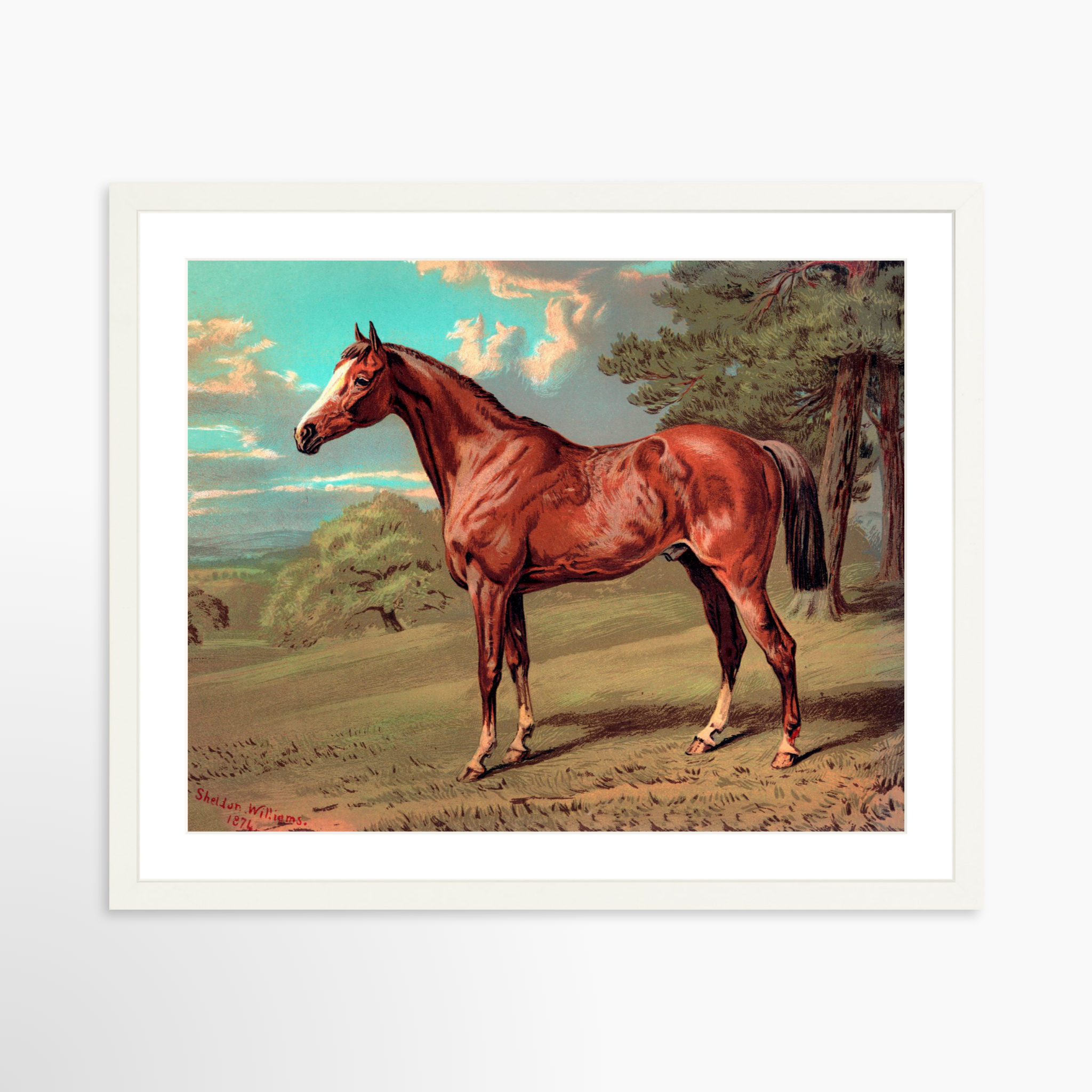 20x16 / White Frame + White Mat