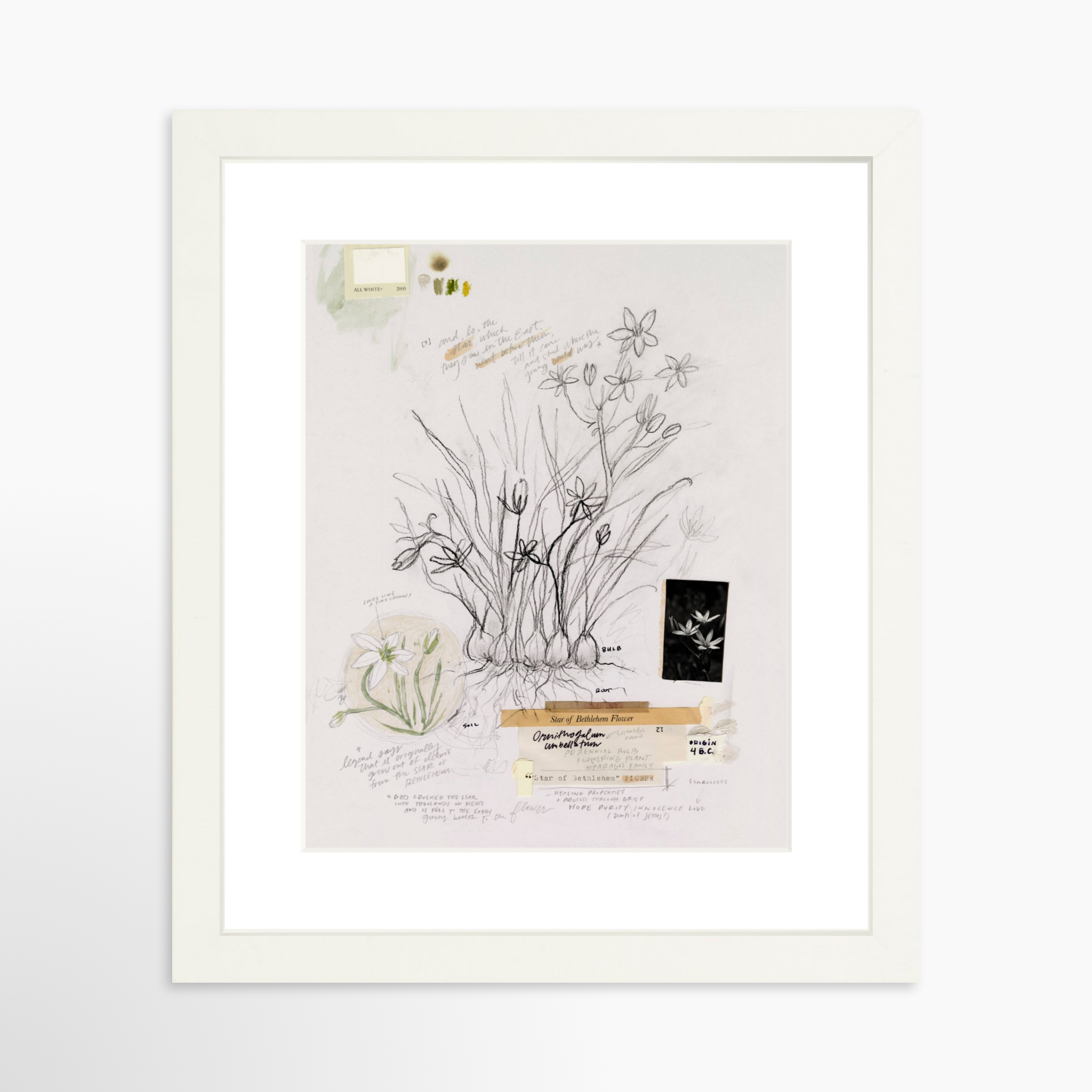8x10 / White Frame + White Mat