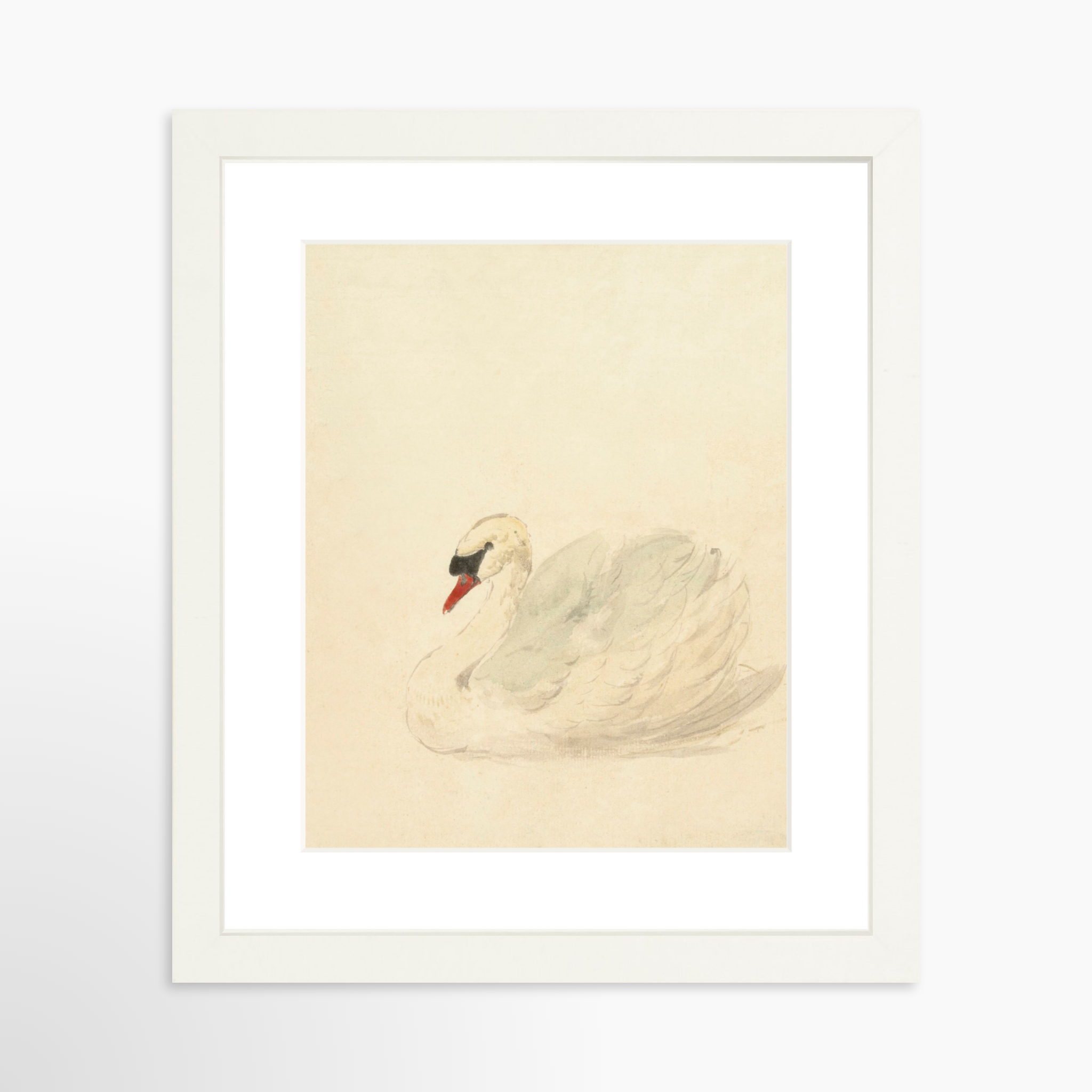 8x10 / White Frame + White Mat