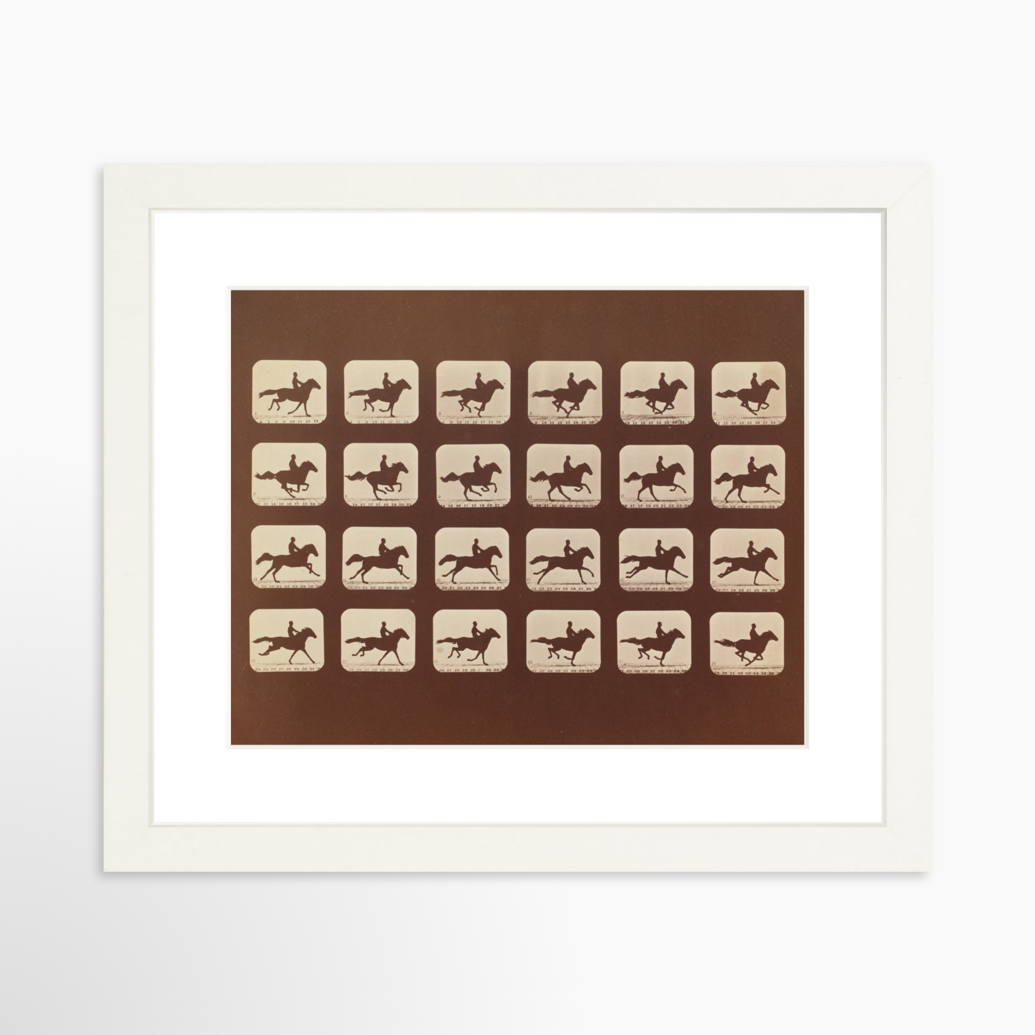 8x10 / White Frame + White Mat