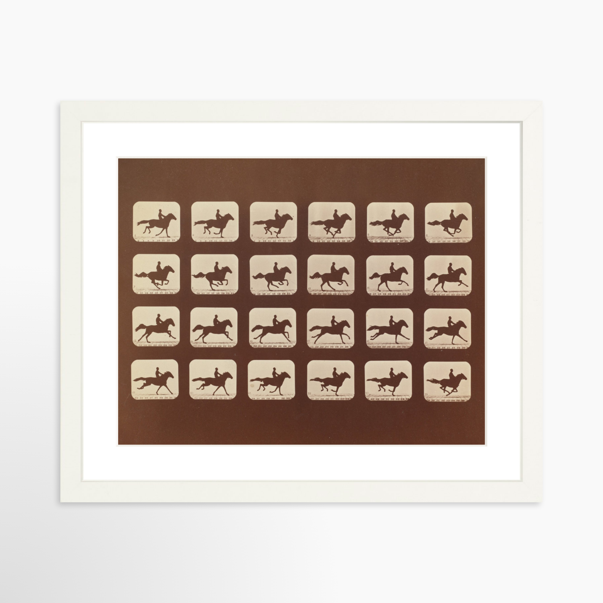 14x11 / White Frame + White Mat