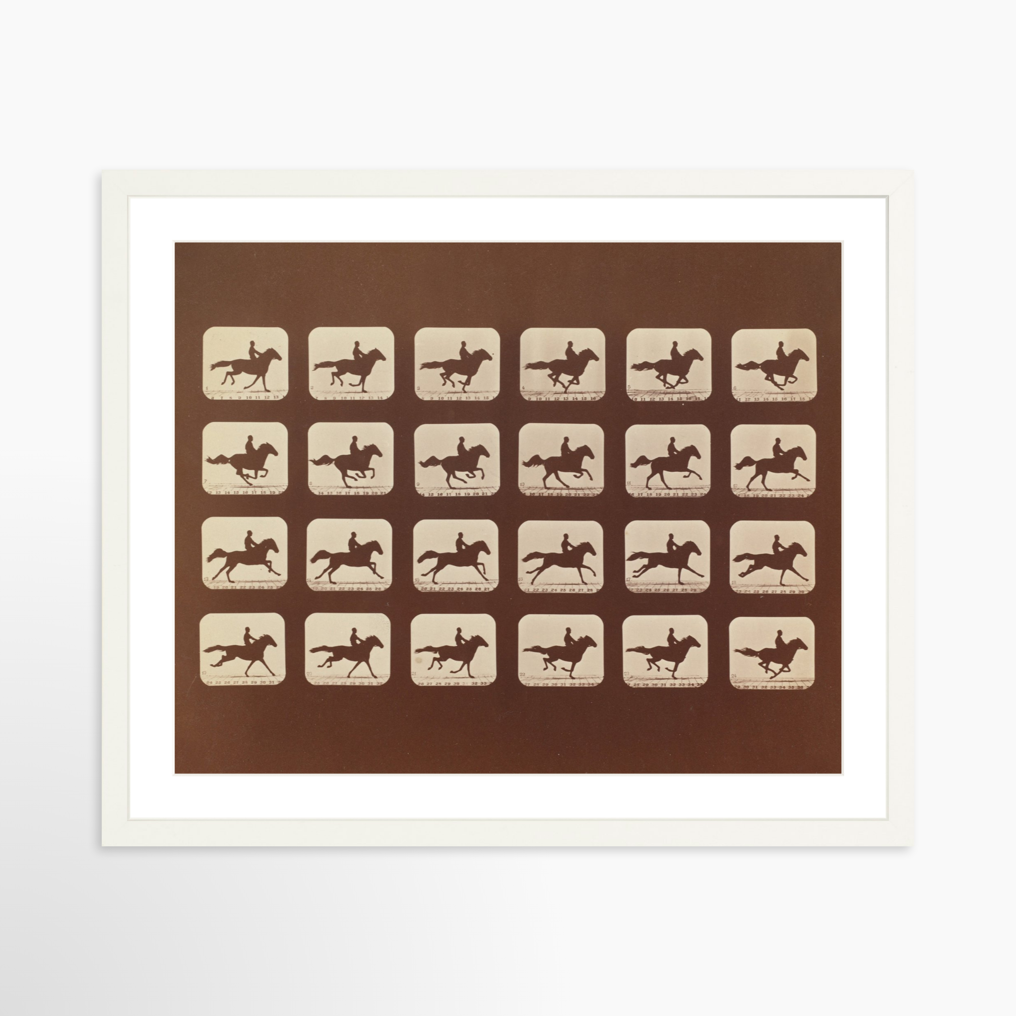 20x16 / White Frame + White Mat