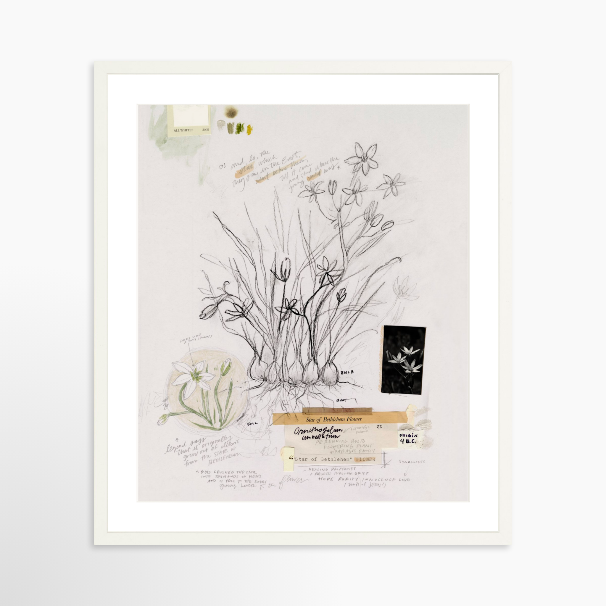 20x25 / White Frame + White Mat